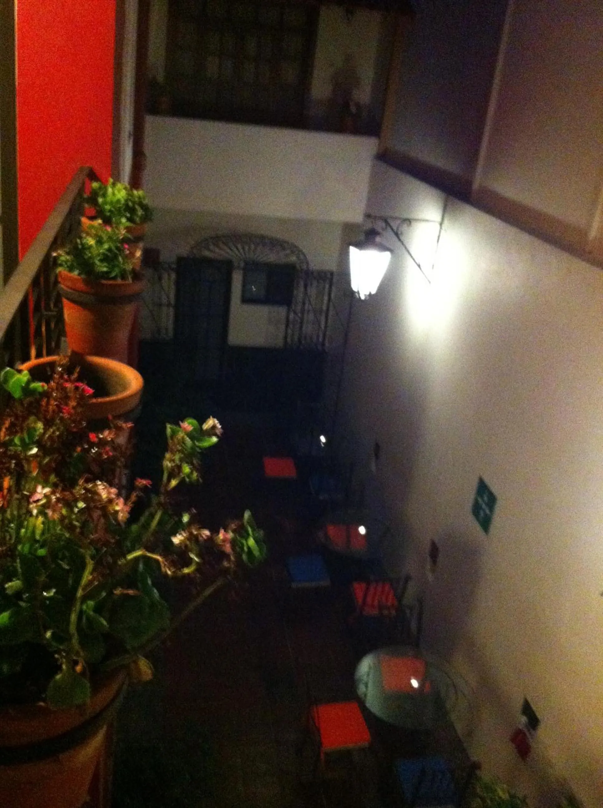 Olga Querida B&B Hostal