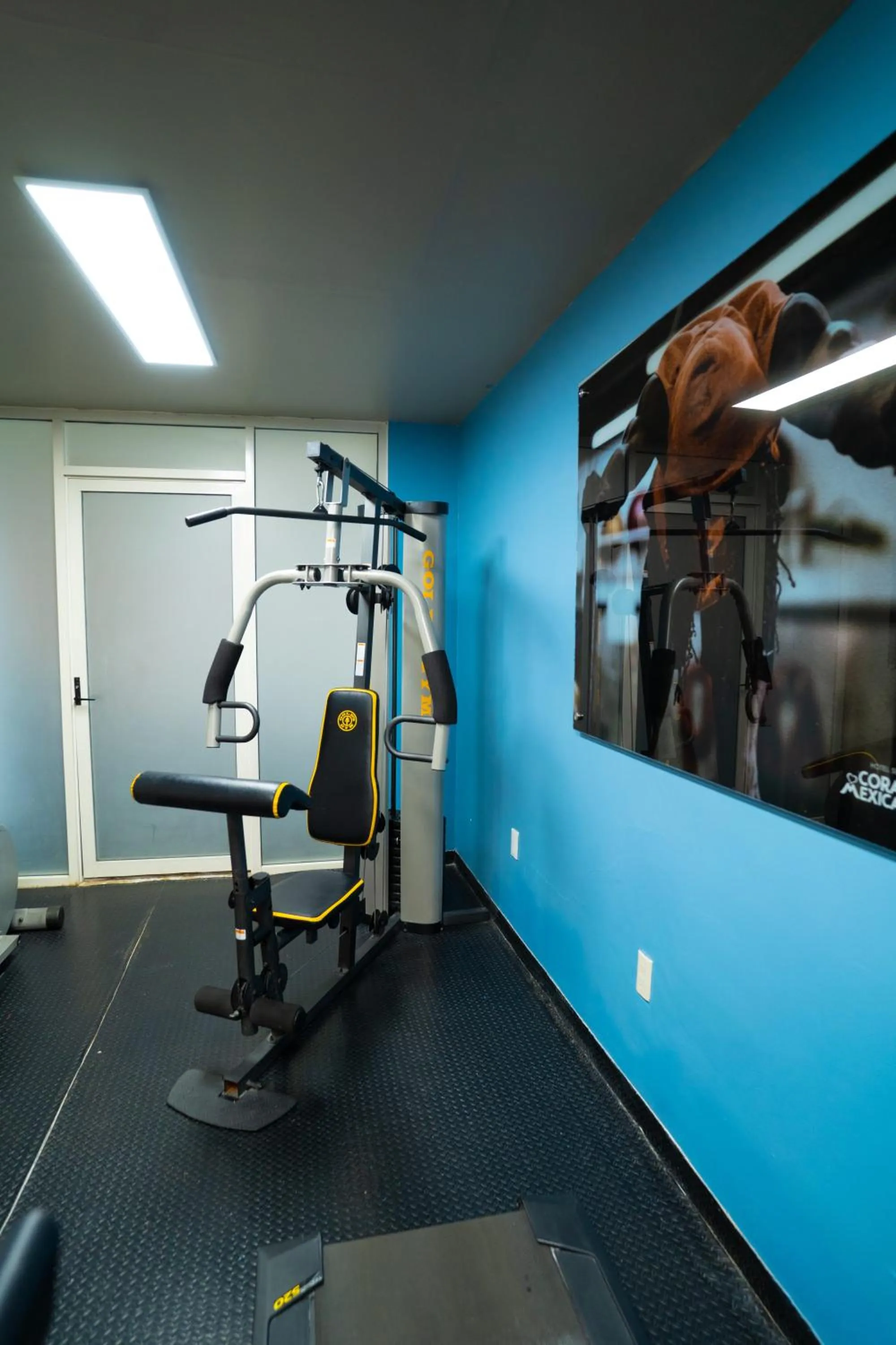 Fitness centre/facilities in Hotel Suites Corazón Mexicano