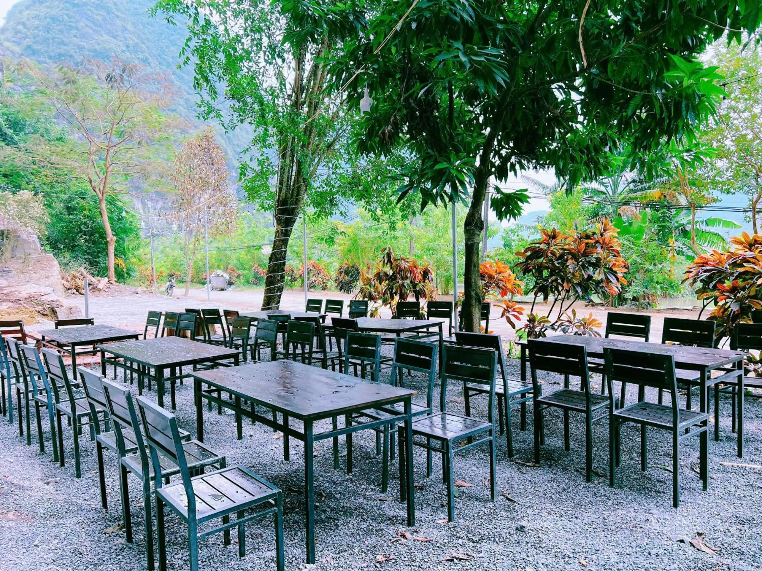 Natural landscape in For You Ninh Binh Boutique