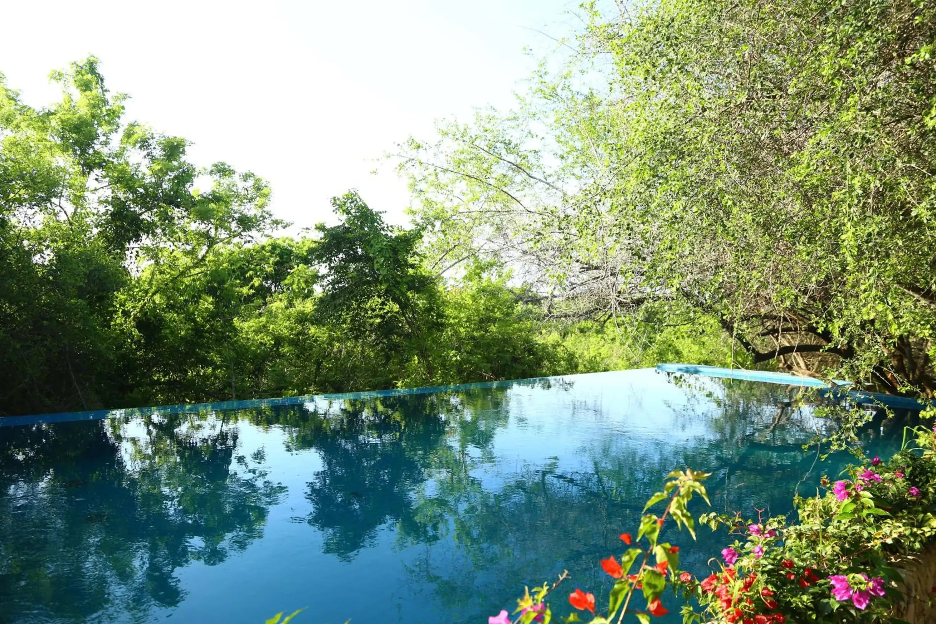 Swimming pool in Hotel Las Islas Swimming pool in Hotel Las Islas