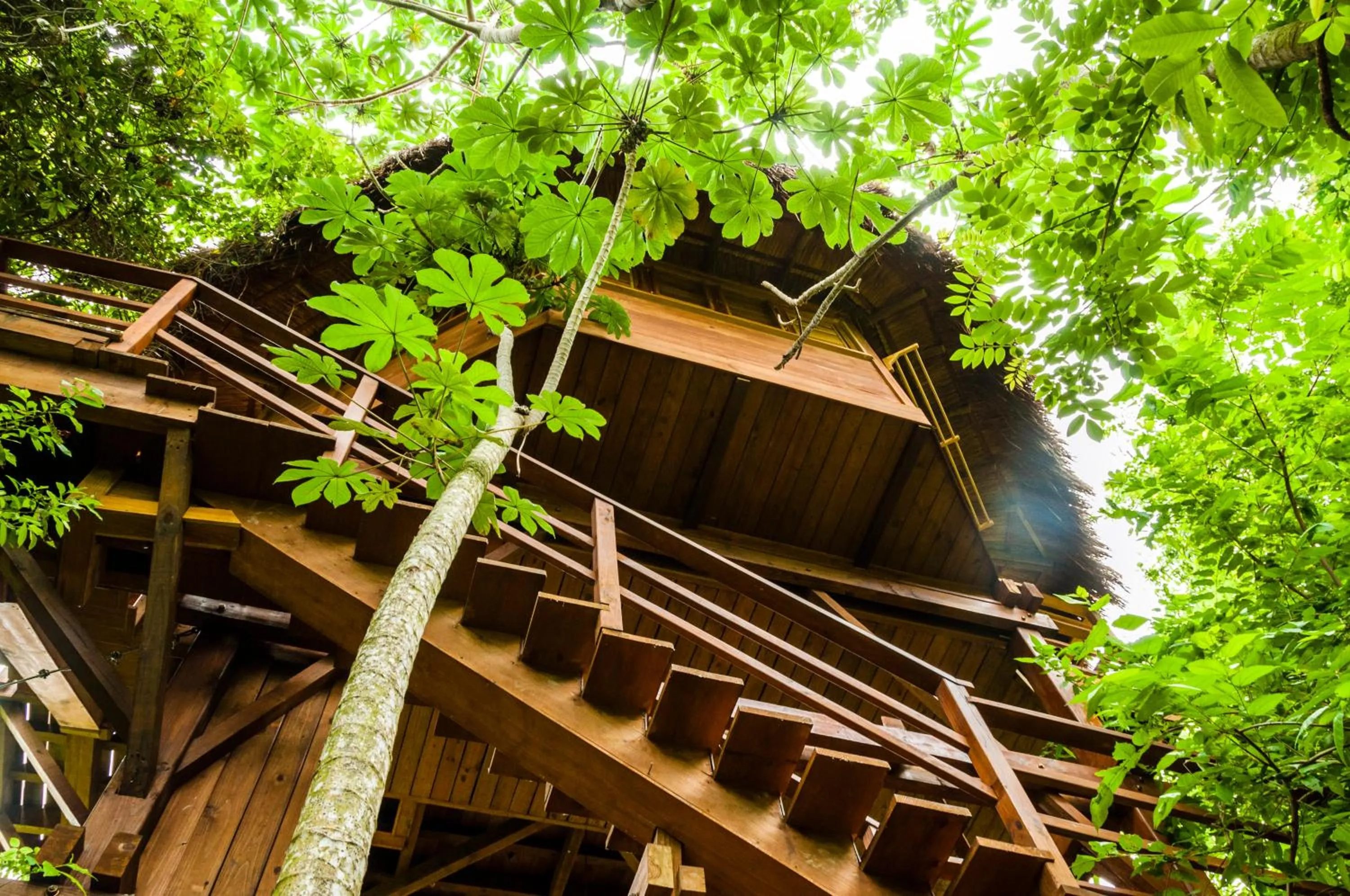 Garden view in Hotel Las Islas