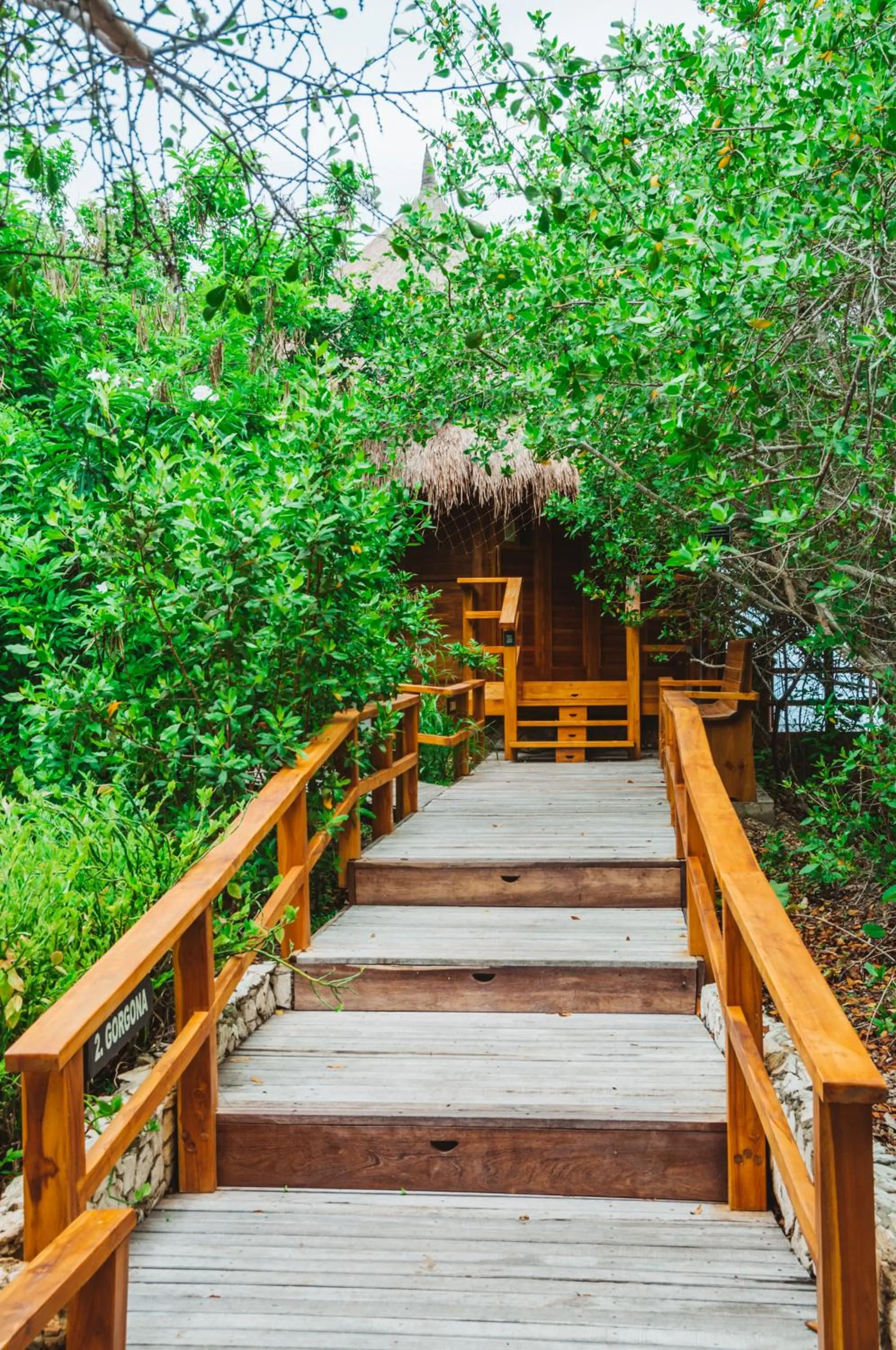 Garden view in Hotel Las Islas