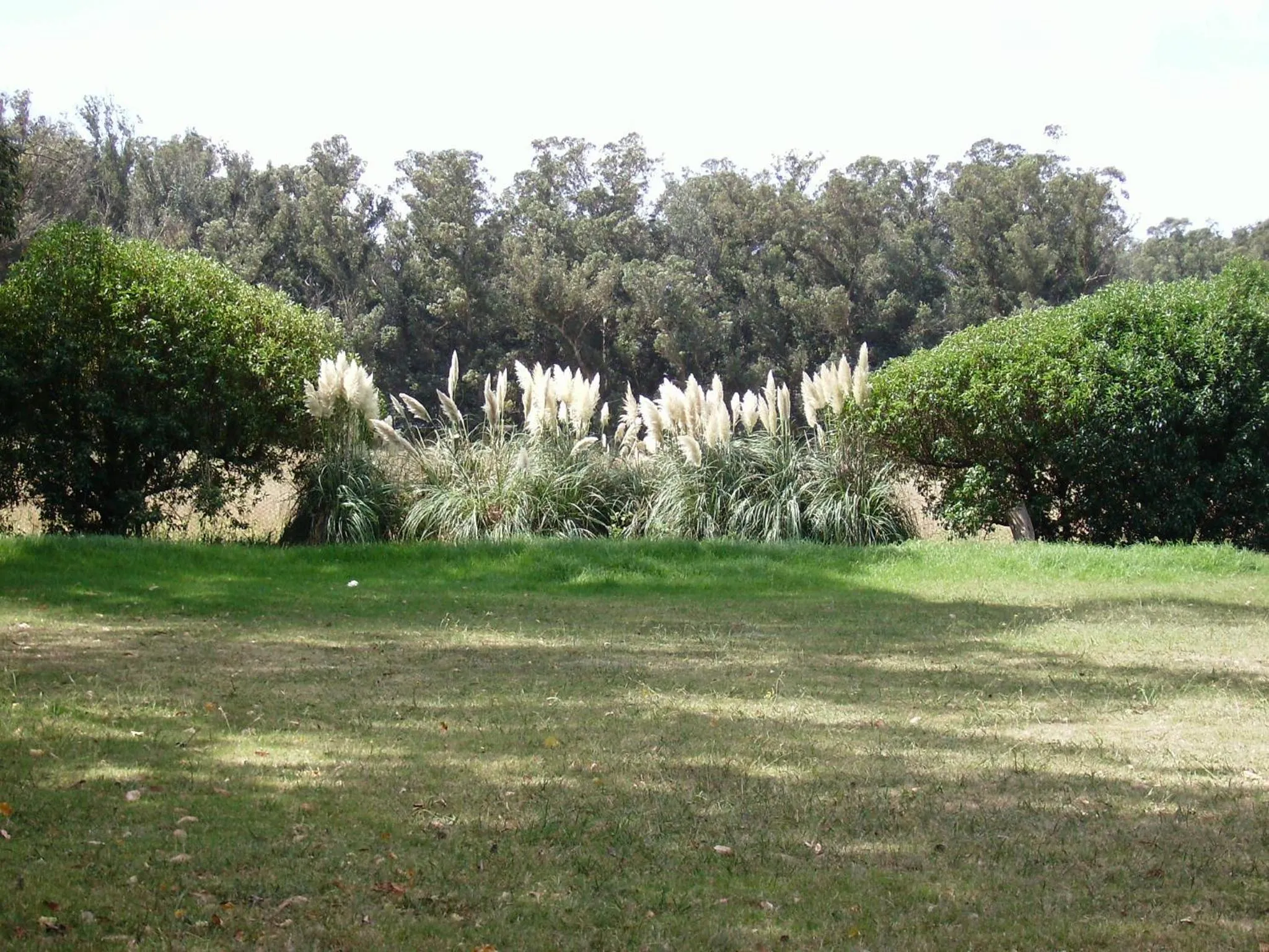 Garden in Hotel Apartur Mar del Plata