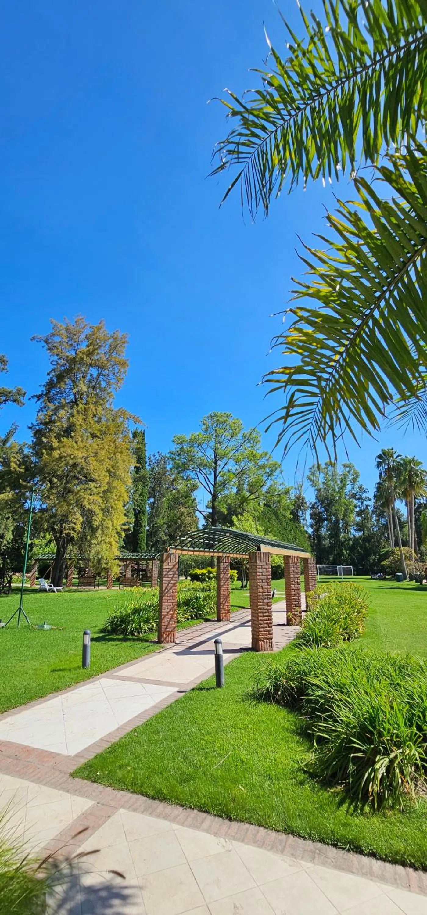 Garden in Sheraton Pilar Hotel & Convention Center
