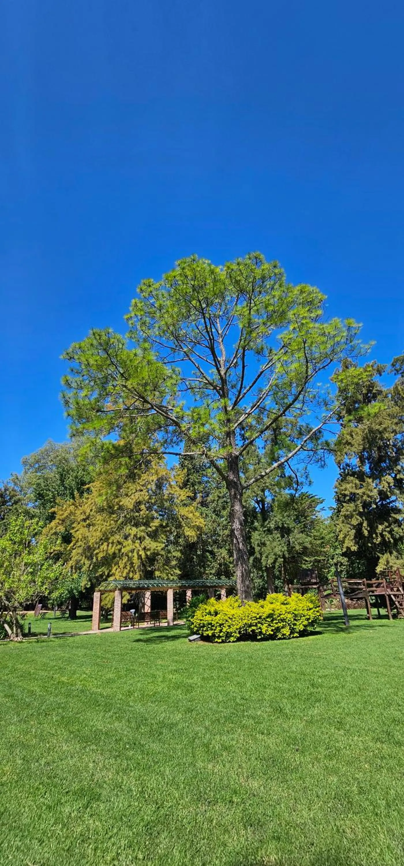 Day in Sheraton Pilar Hotel & Convention Center