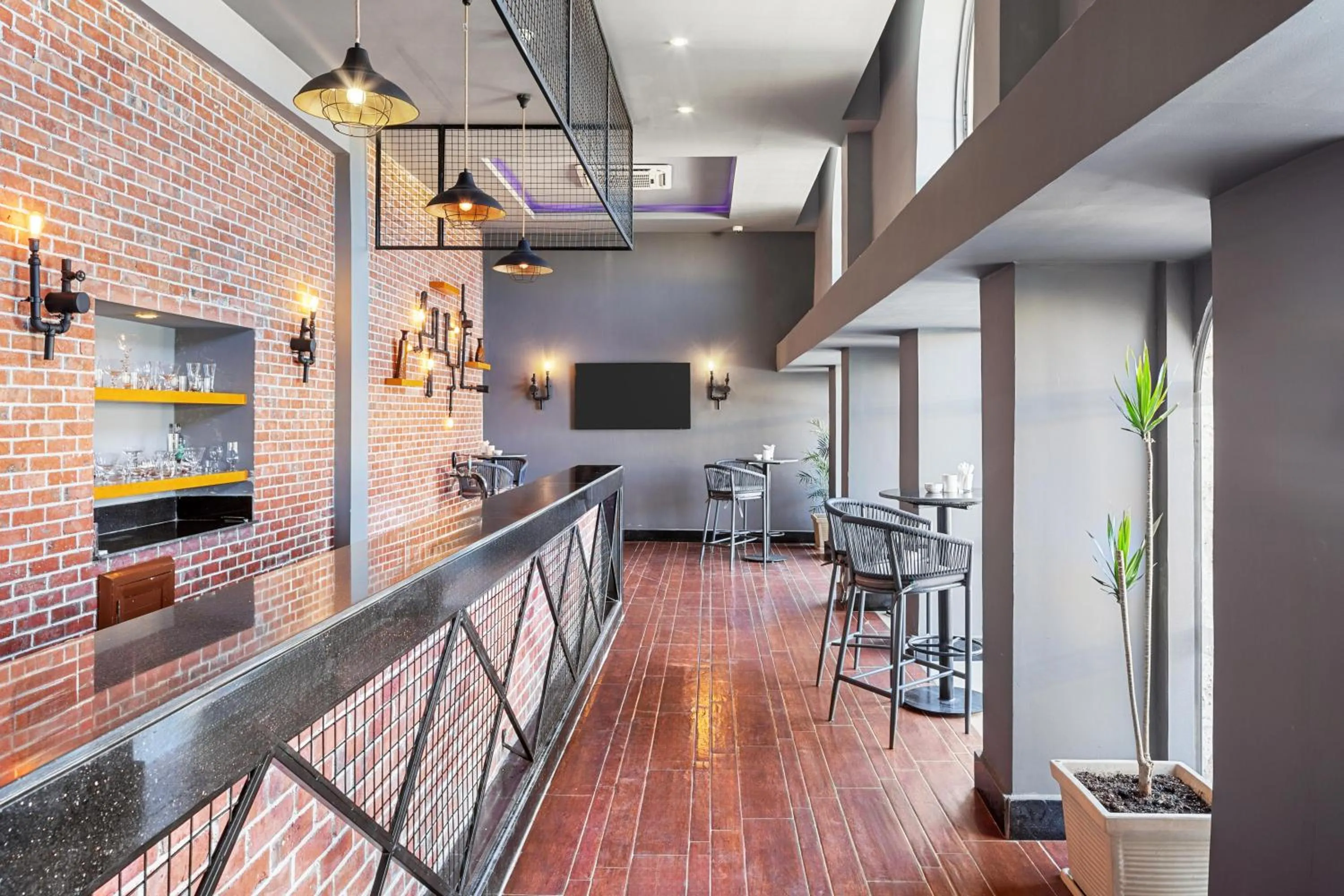 Lounge or bar in Pickalbatros Citadel Resort Sahl Hasheesh