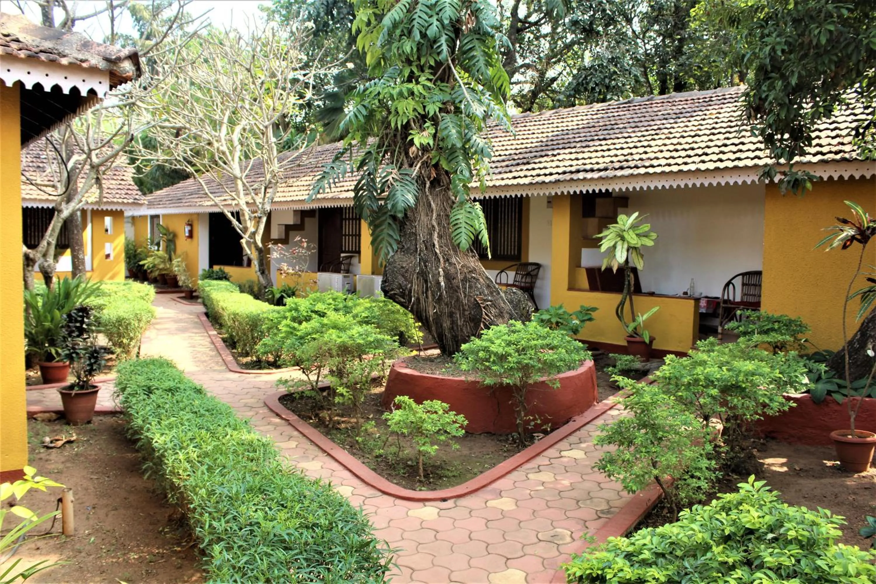 Property building in Granpa's Inn Hotel Bougainvillea