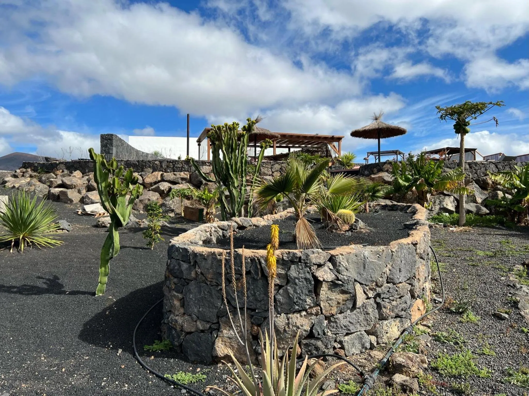 Property building in Finca Isolina Hotel Boutique - Adults Recommended