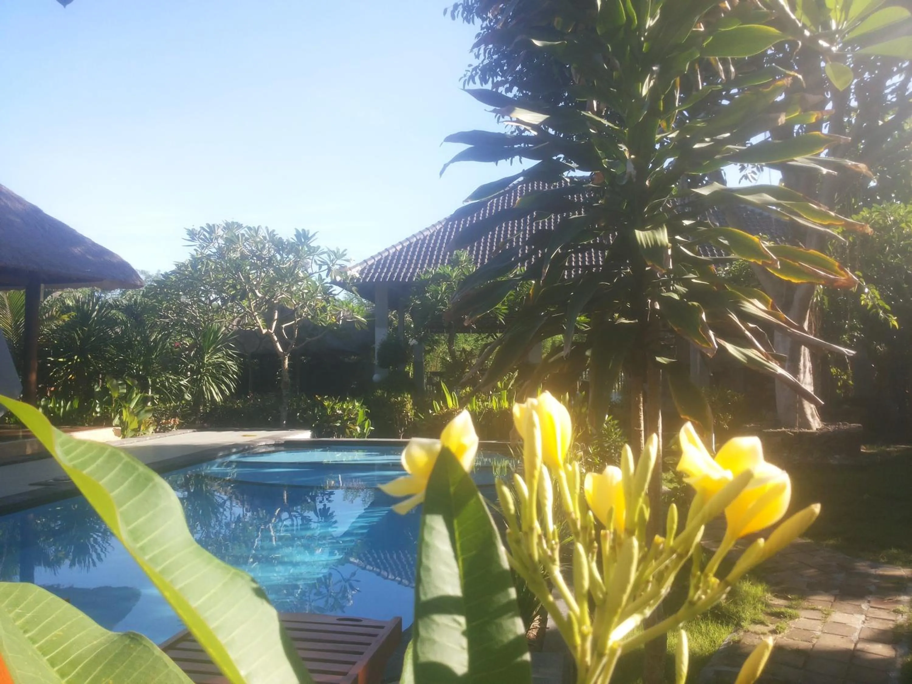 Pool view in Lotus Garden Huts