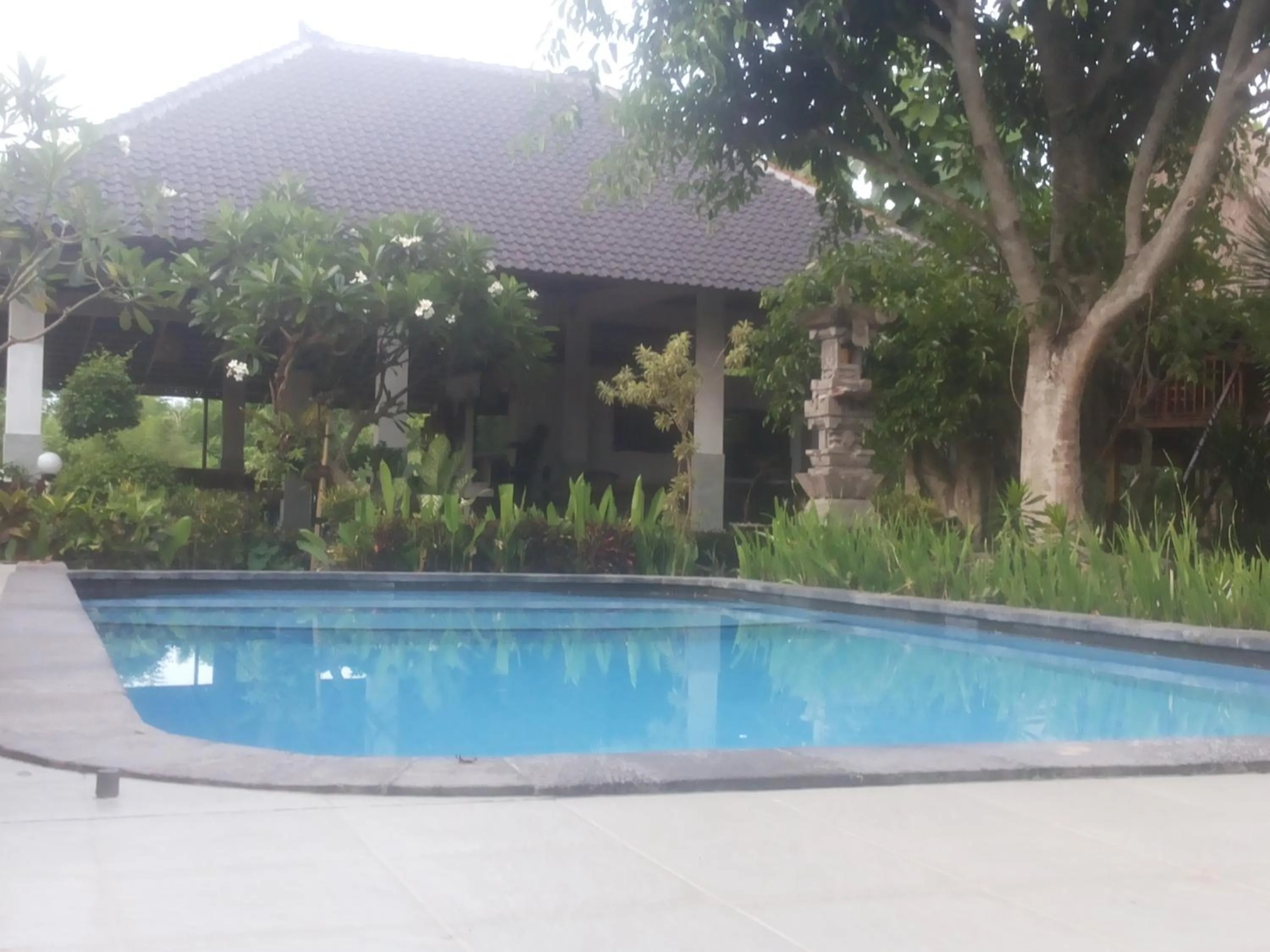 Restaurant/places to eat in Lotus Garden Huts