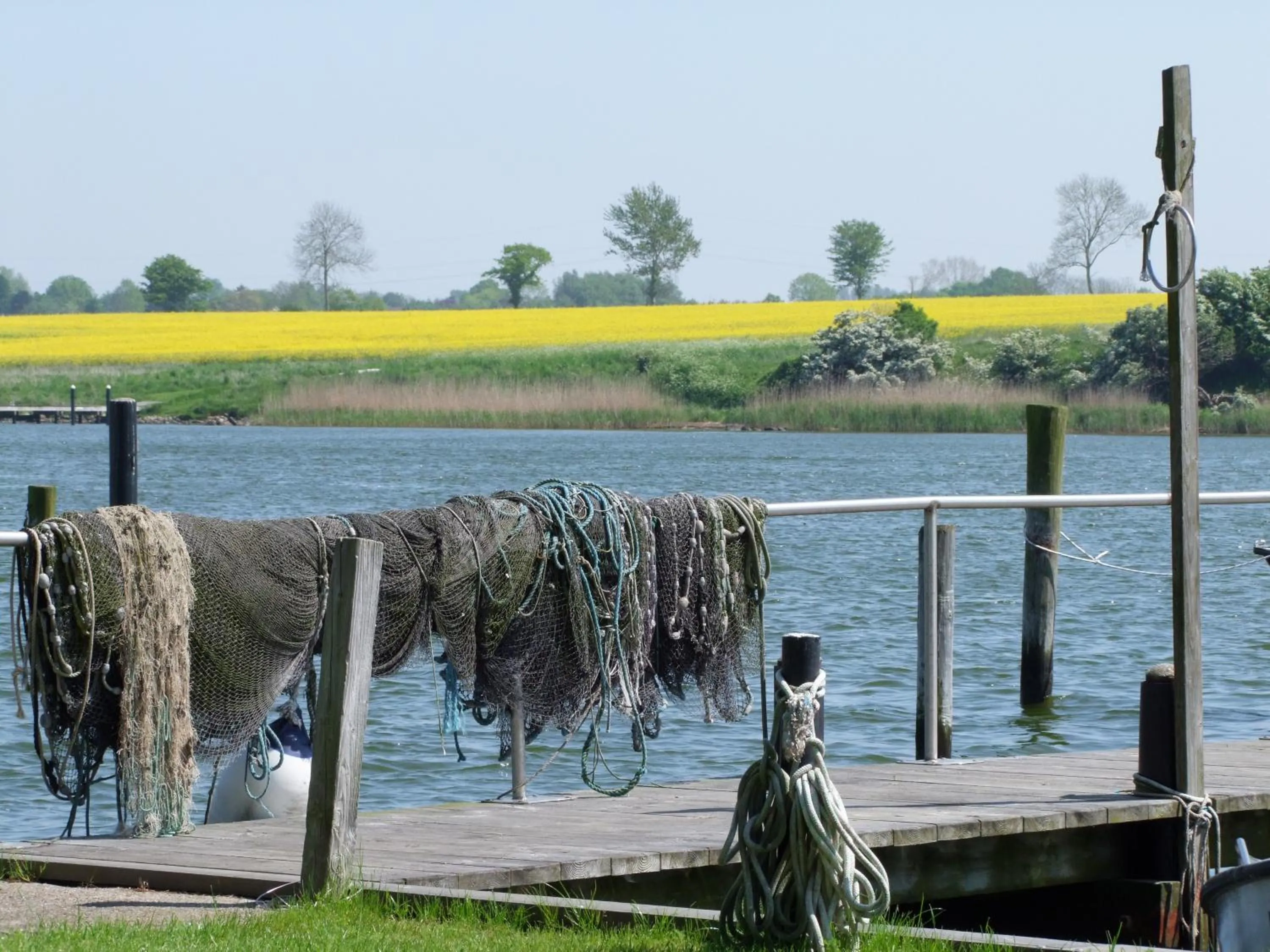 Natural landscape in Ostseehotel Kappeln by team SchleiFee
