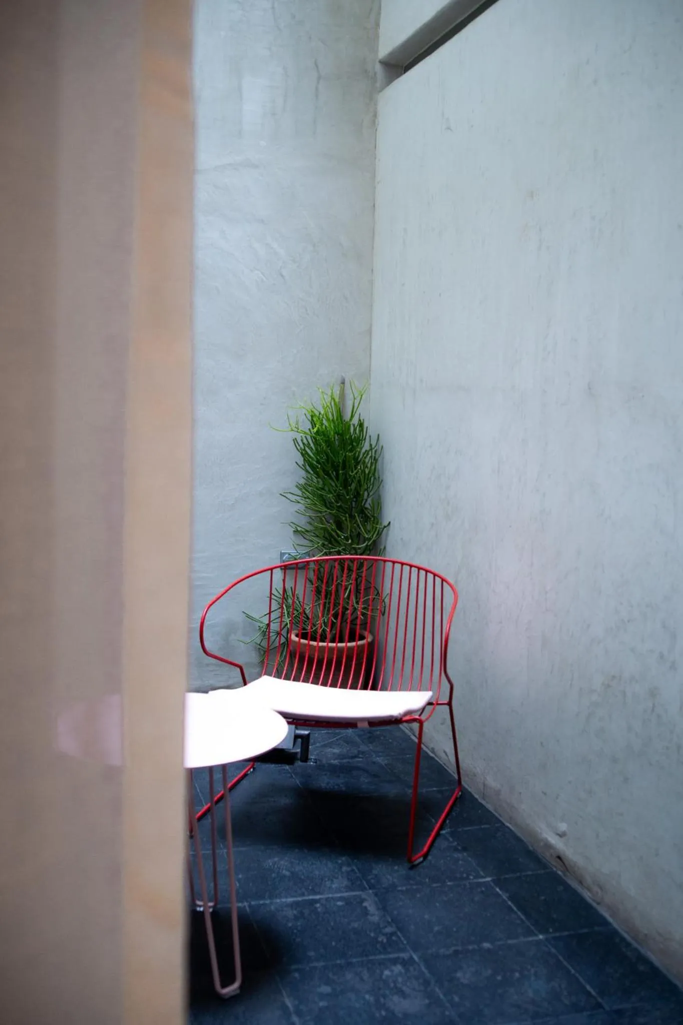 Living room in Casa Antonieta
