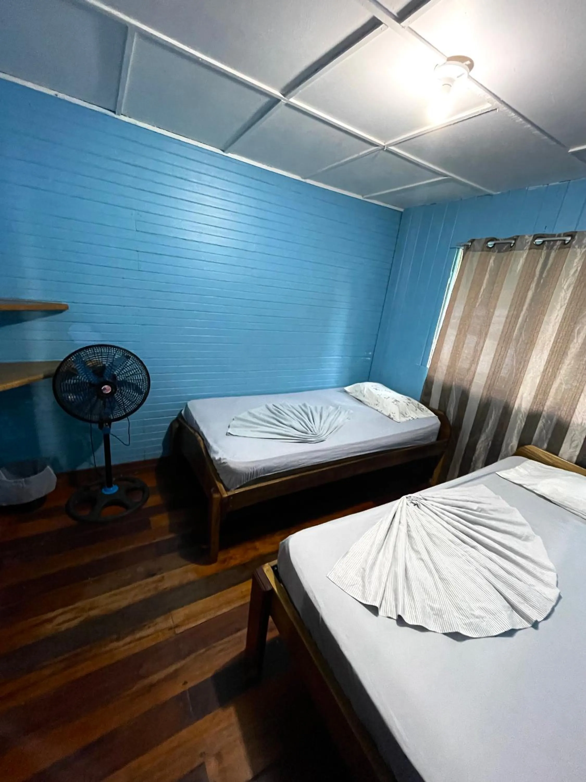 Photo of the whole room, Bed in Pura Vida Hostel