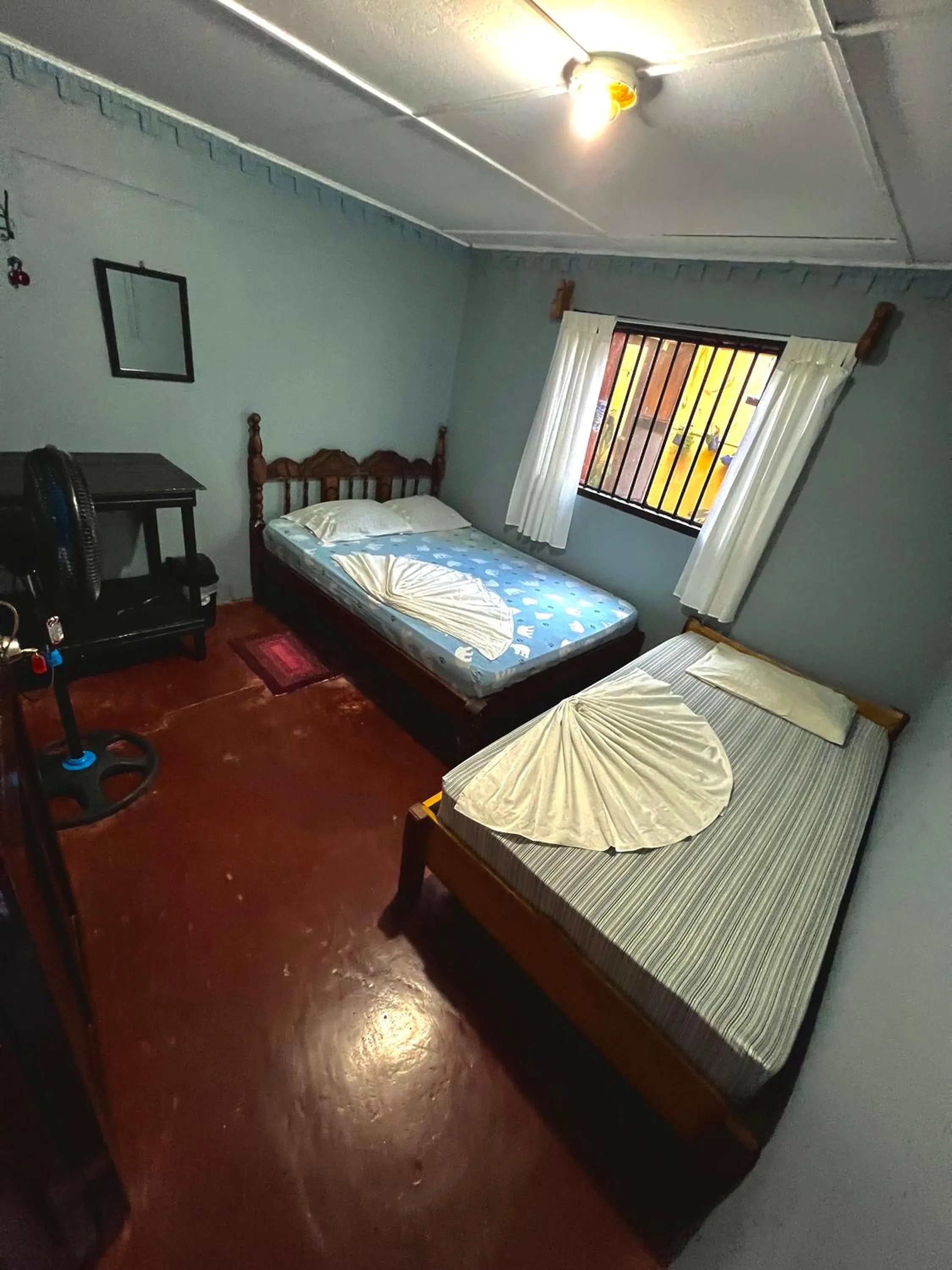 Photo of the whole room, Bed in Pura Vida Hostel