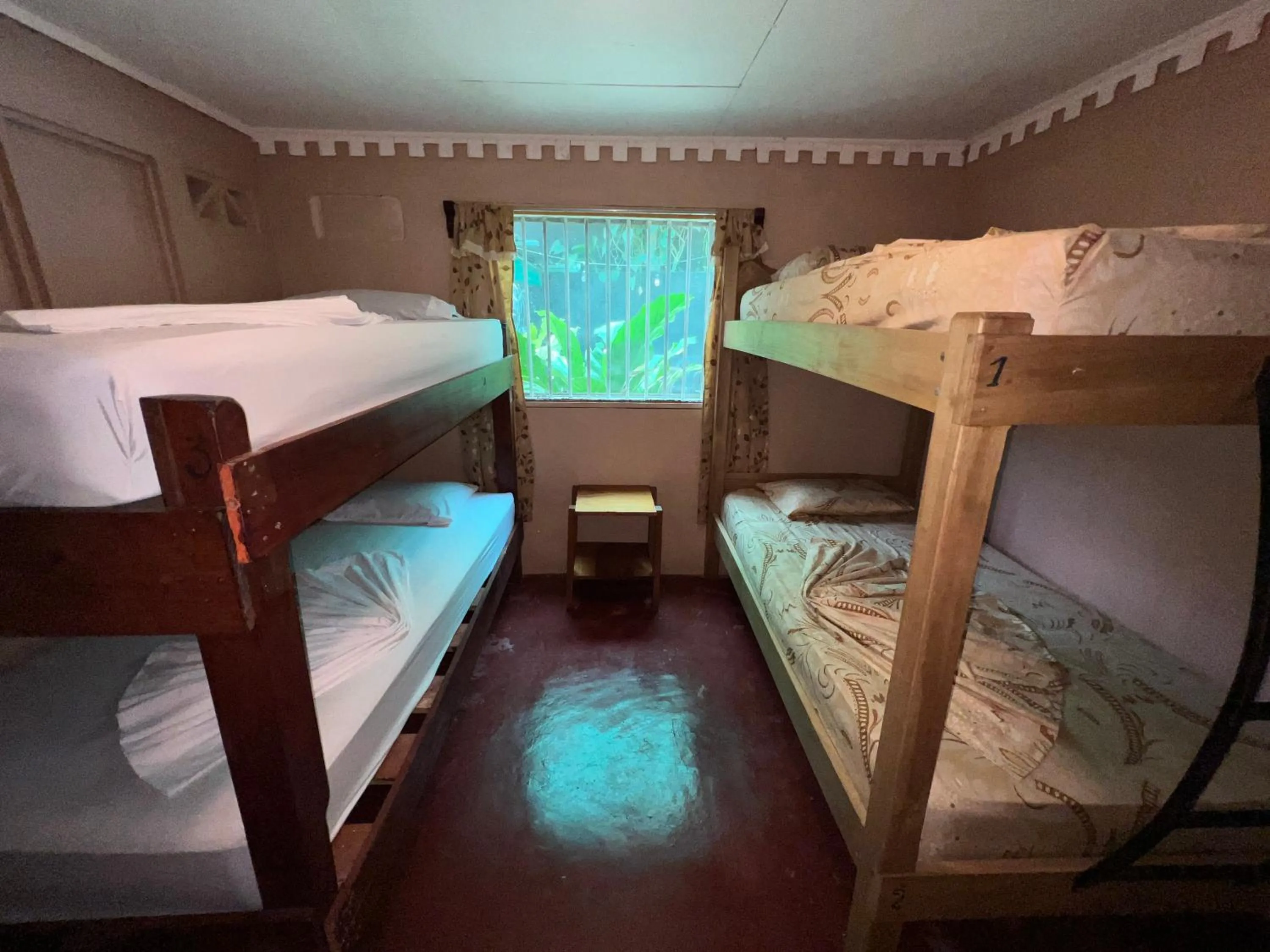 Photo of the whole room, Bed in Pura Vida Hostel