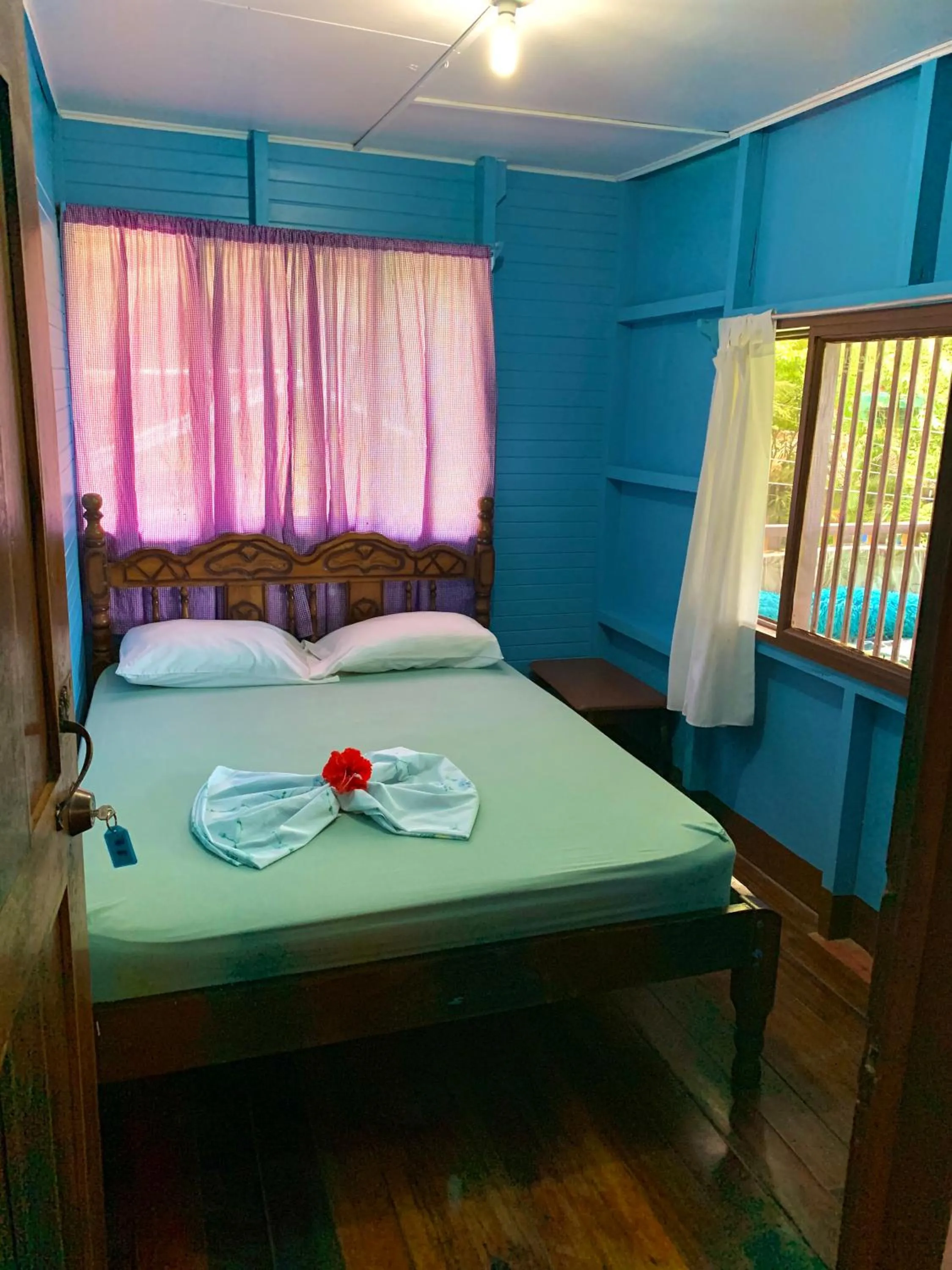 Photo of the whole room, Bed in Pura Vida Hostel