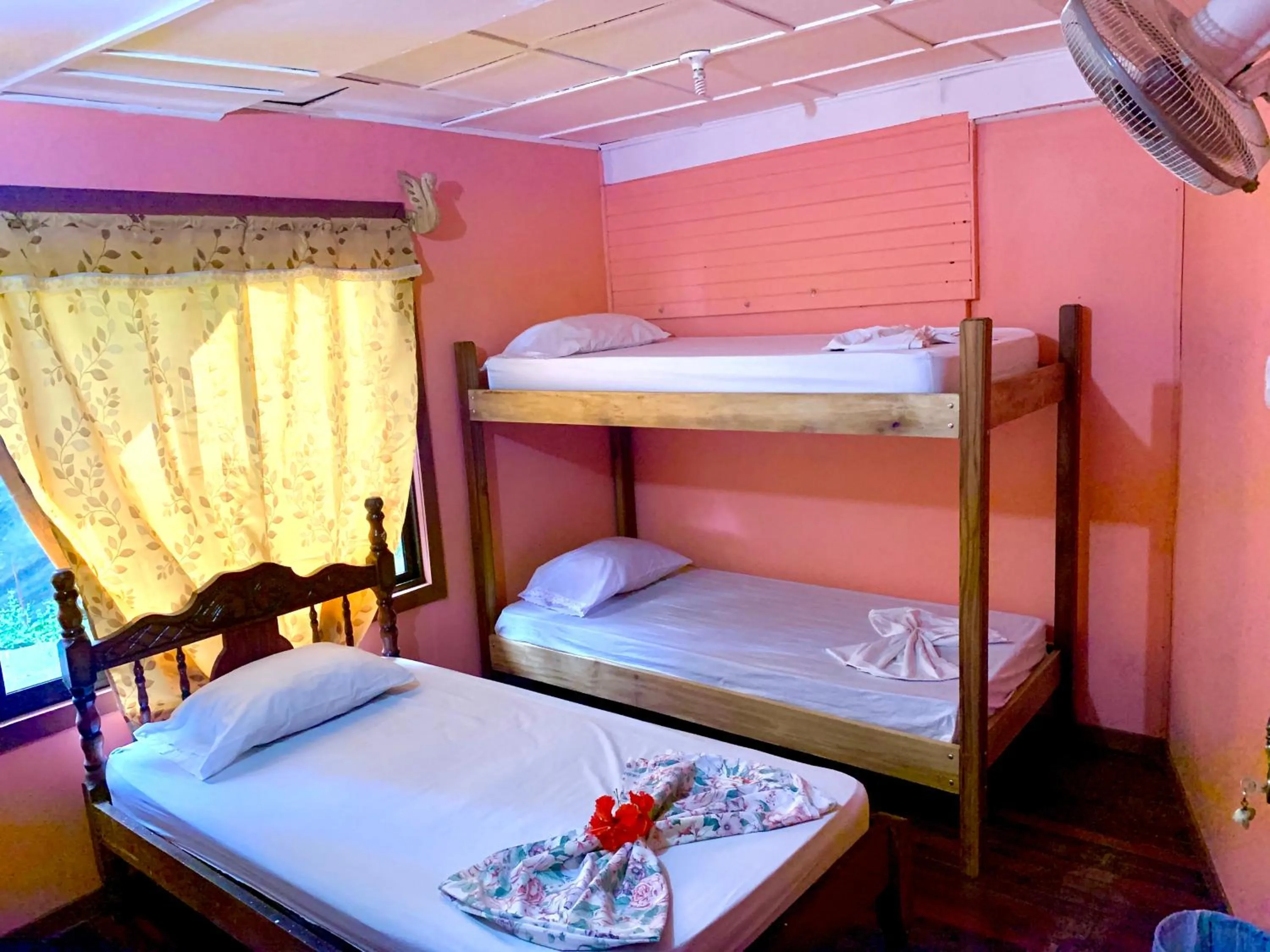 Photo of the whole room, Bed in Pura Vida Hostel