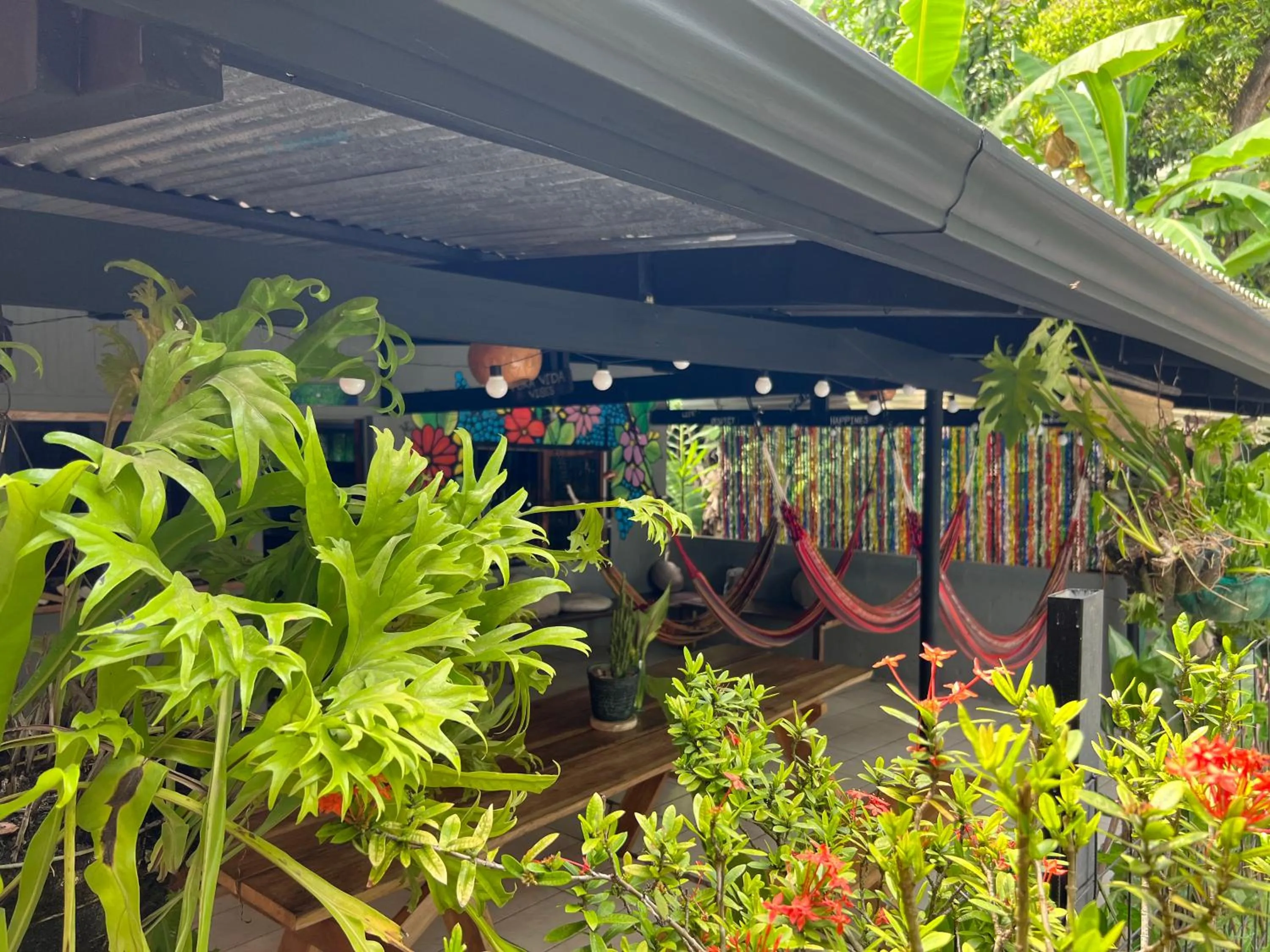 Spring in Pura Vida Hostel