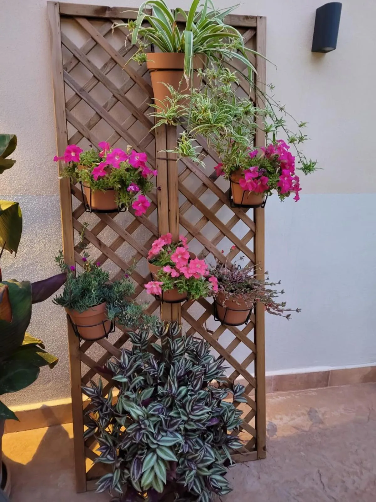 Patio in Casal de Petra - Rooms & Pool by My Rooms Hotels TI