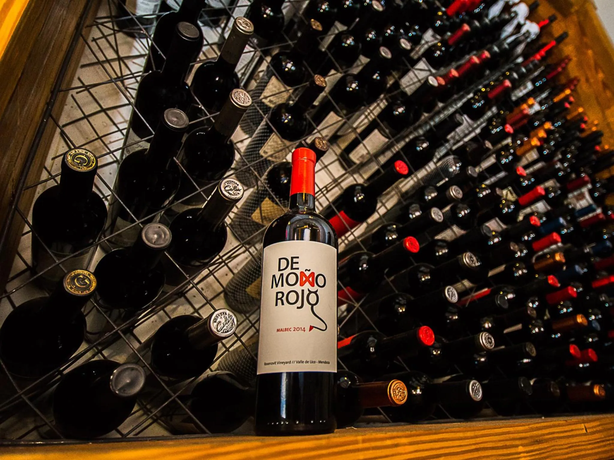 Lunch in Hotel Del Bono Park