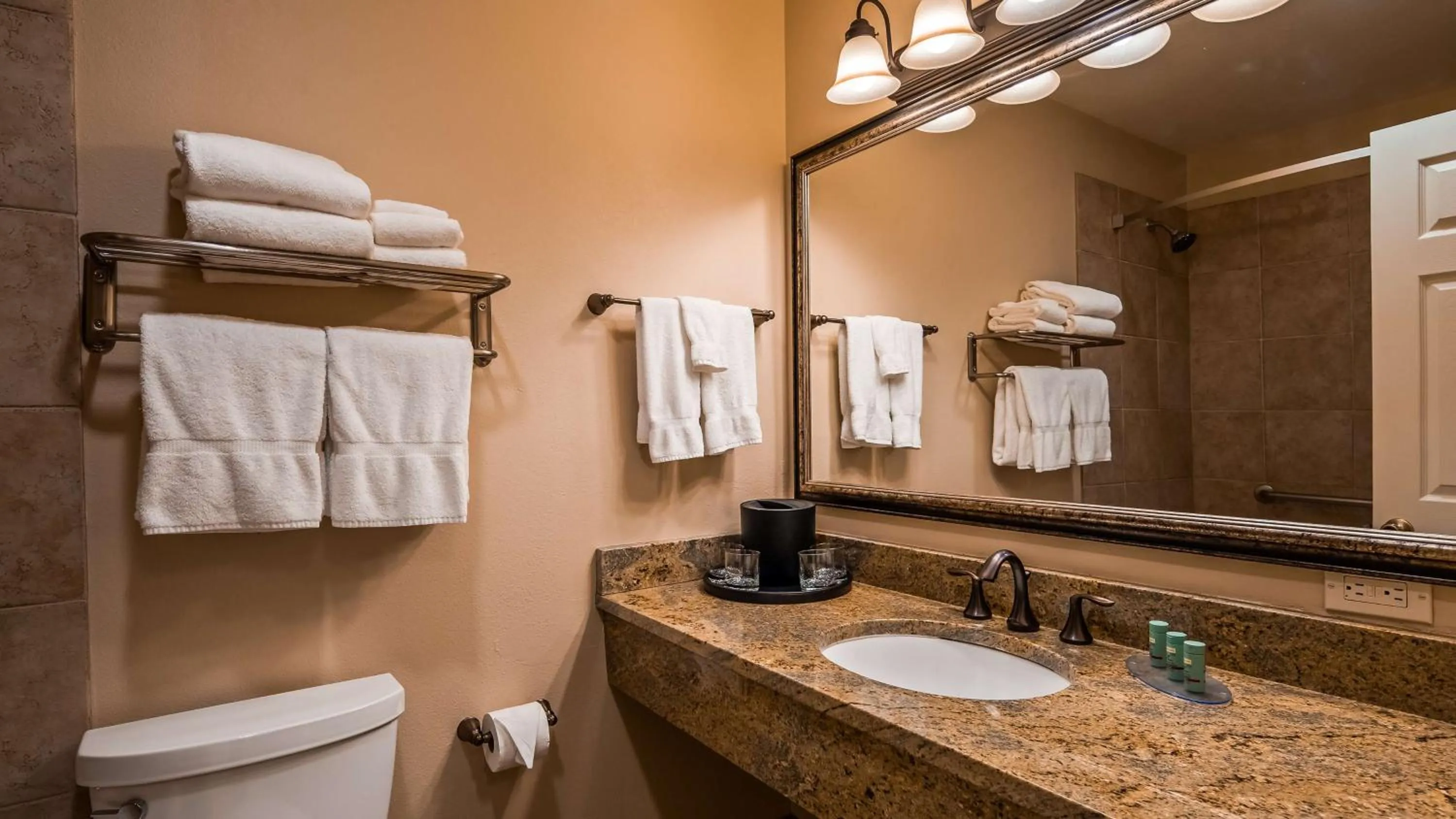Bathroom in Best Western Tyrolean Lodge