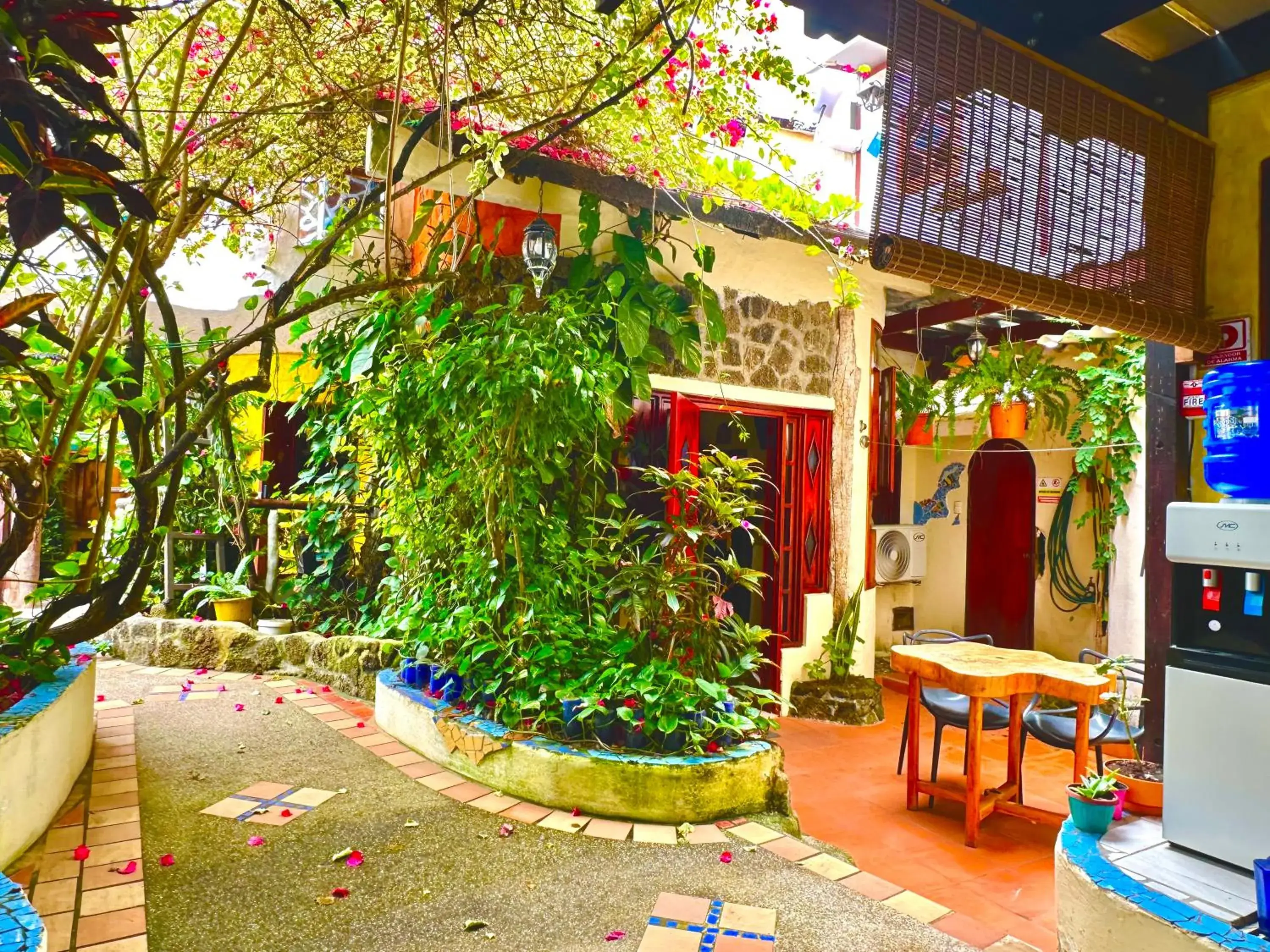 Garden view in Casa del Lago Lodging House Garden view in Casa del Lago Lodging House