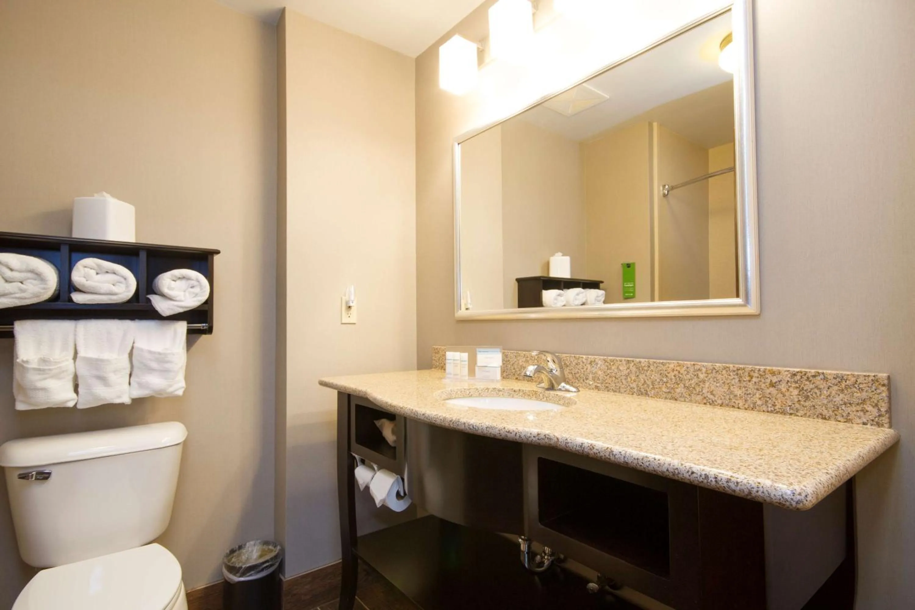 Bathroom in Hampton Inn Marshall