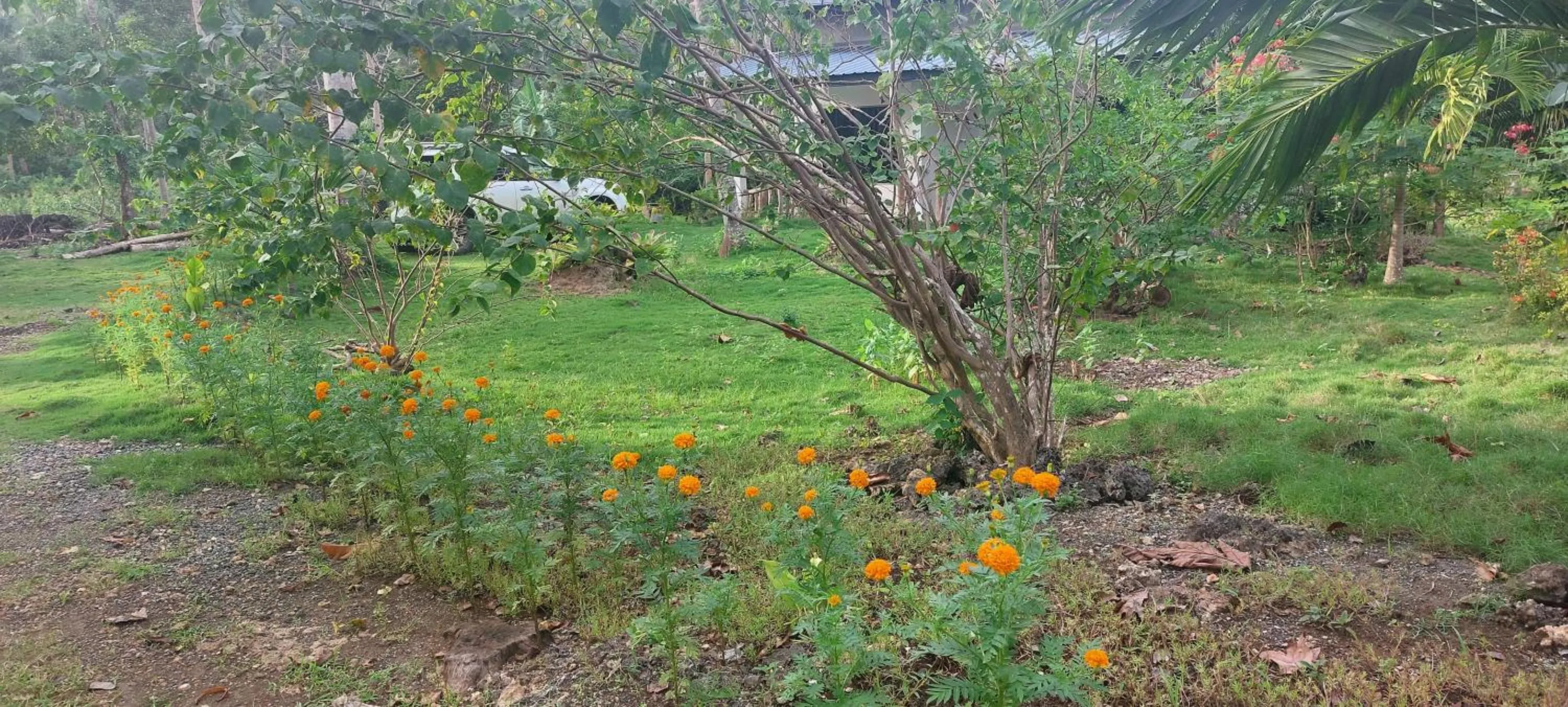 Andnindot garden resort