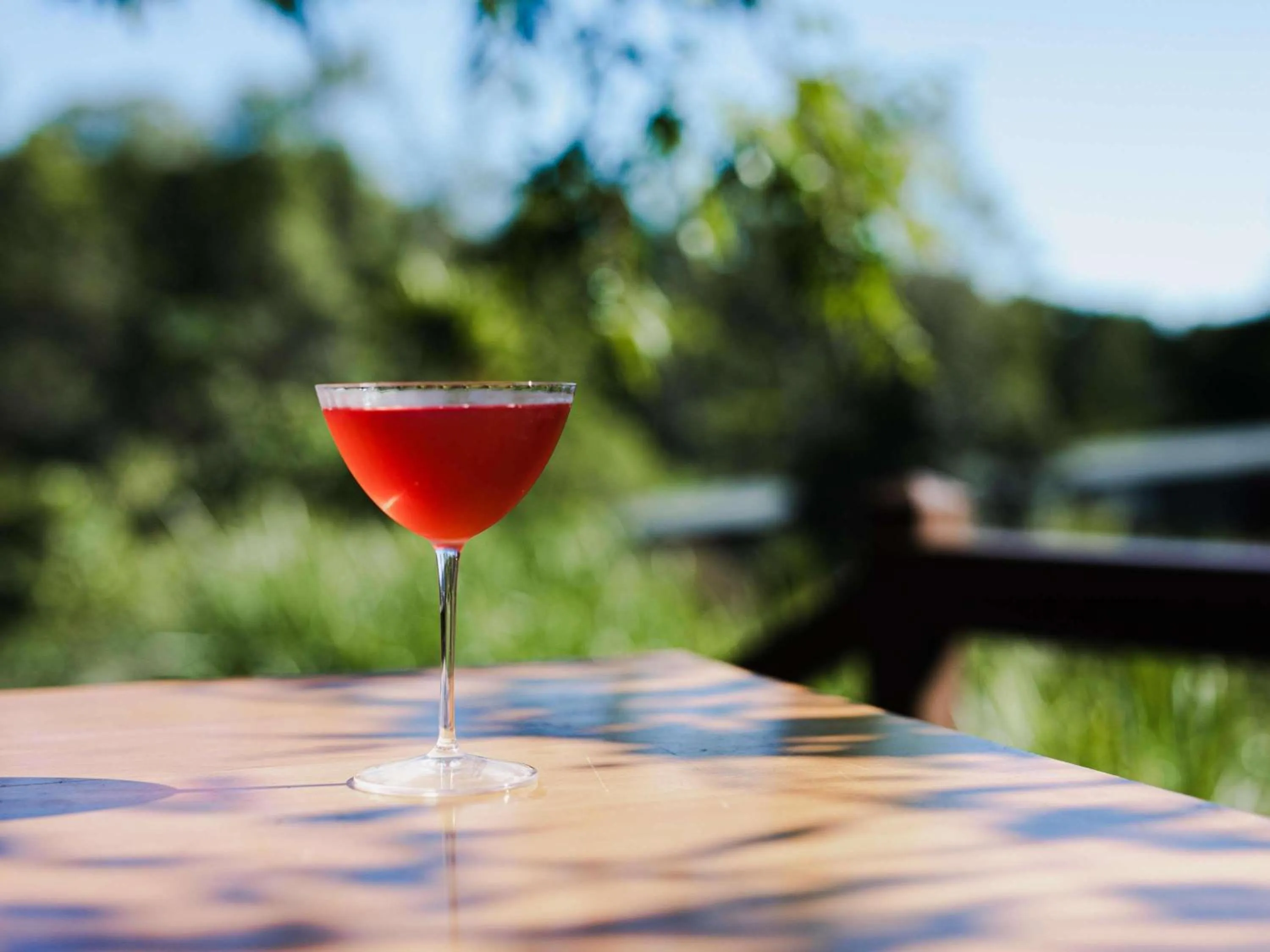 Lounge or bar in Peppers Noosa Resort and Villas