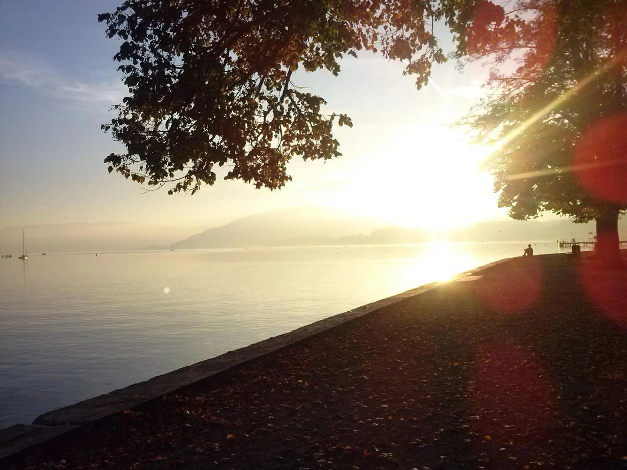 Area and facilities in Hotel Restaurant Häupl
