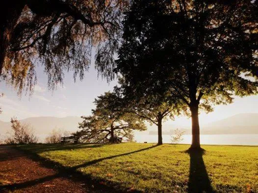 Area and facilities in Hotel Restaurant Häupl