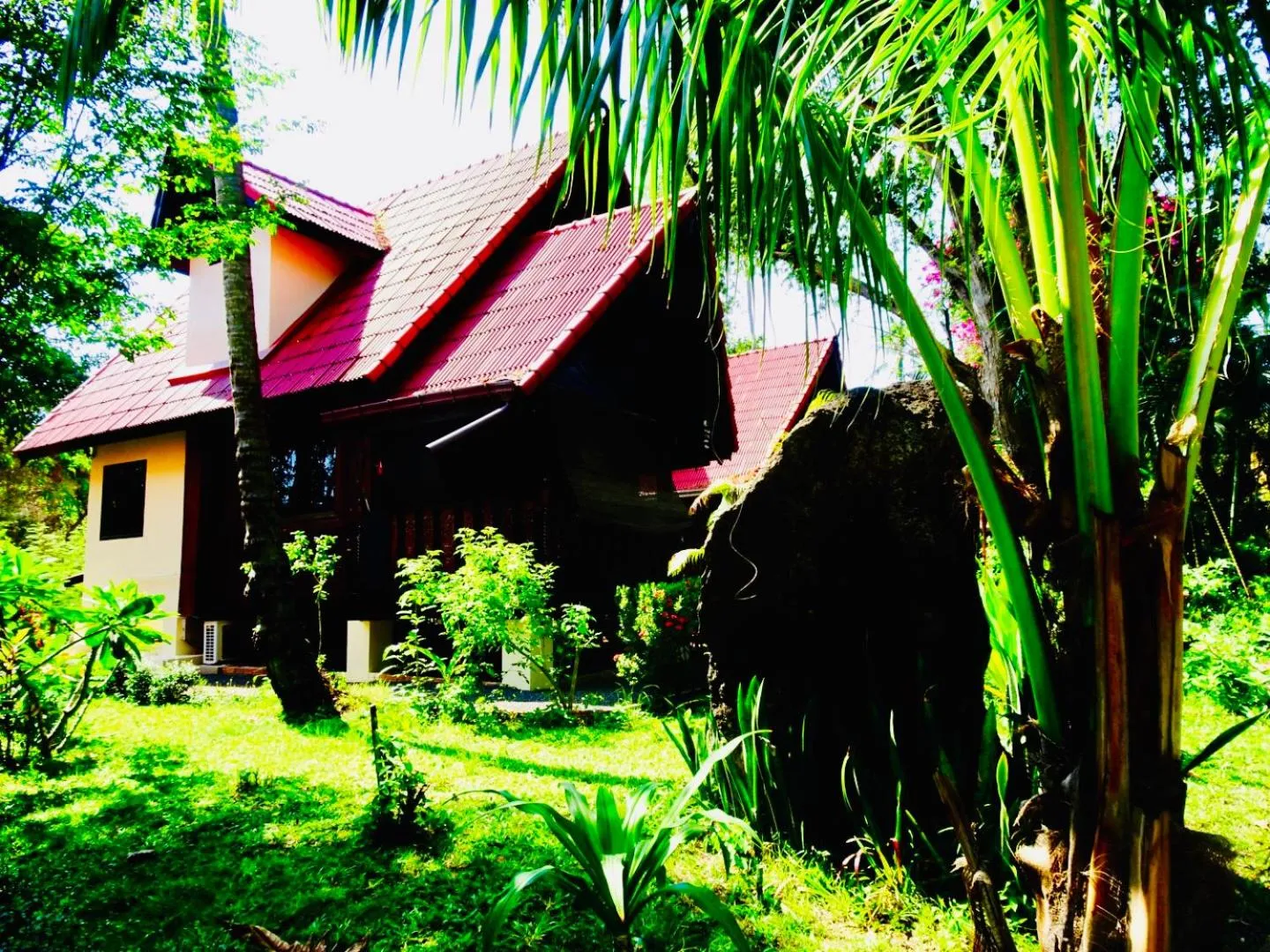 Starbay Samui