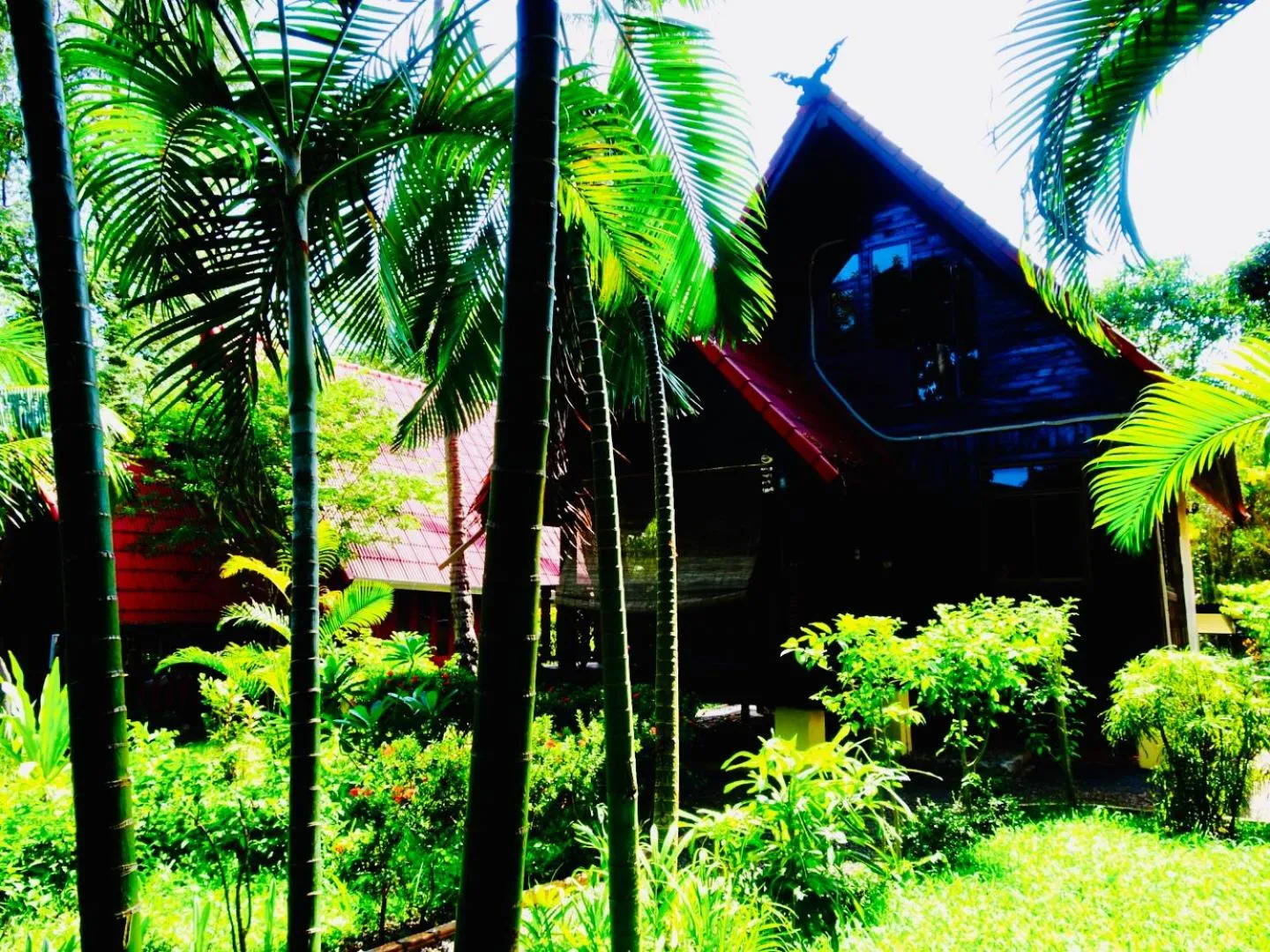 Starbay Samui