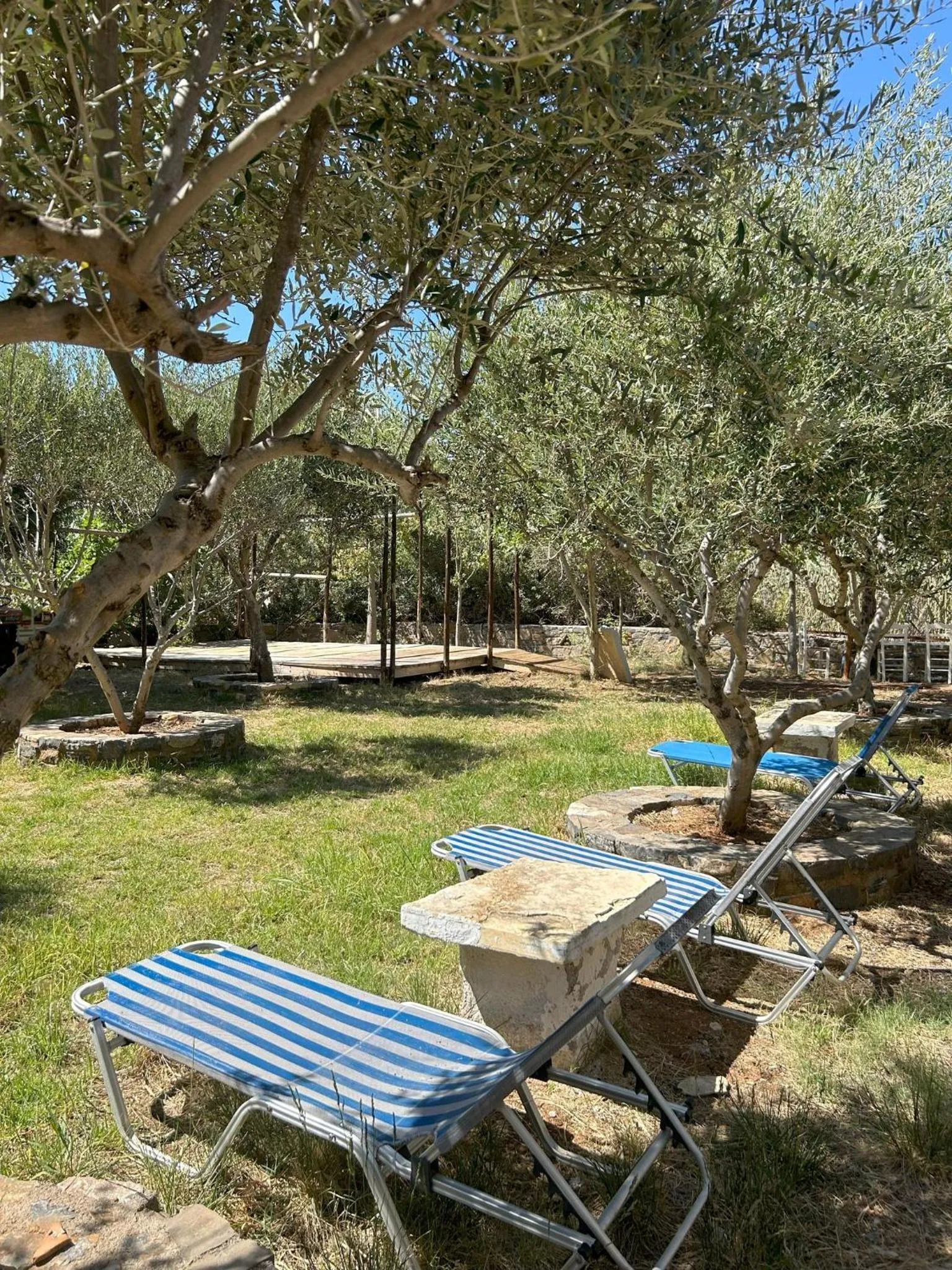 Garden, Swimming Pool in Naiades Almiros Hotel