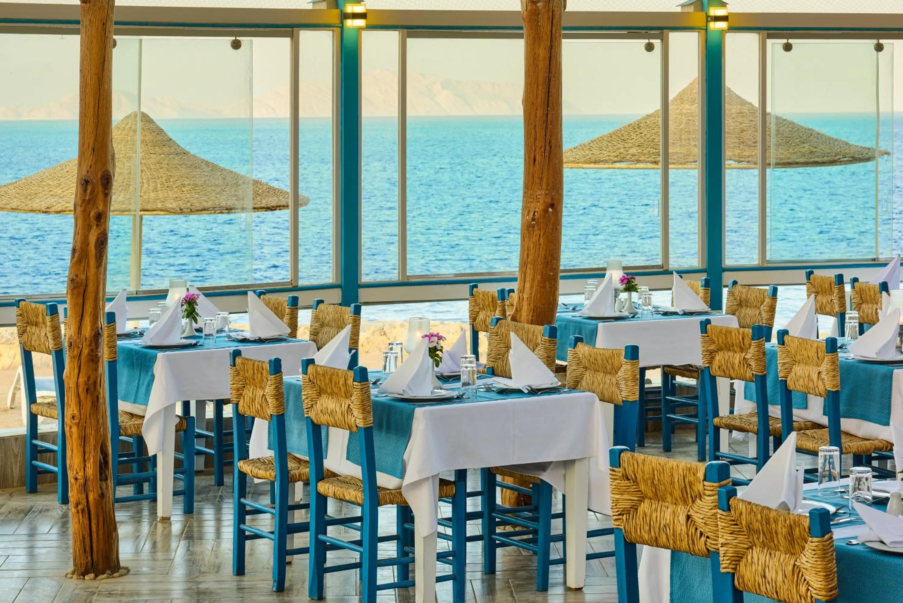Restaurant/places to eat in Dreams Beach Resort - Sharm El Sheikh