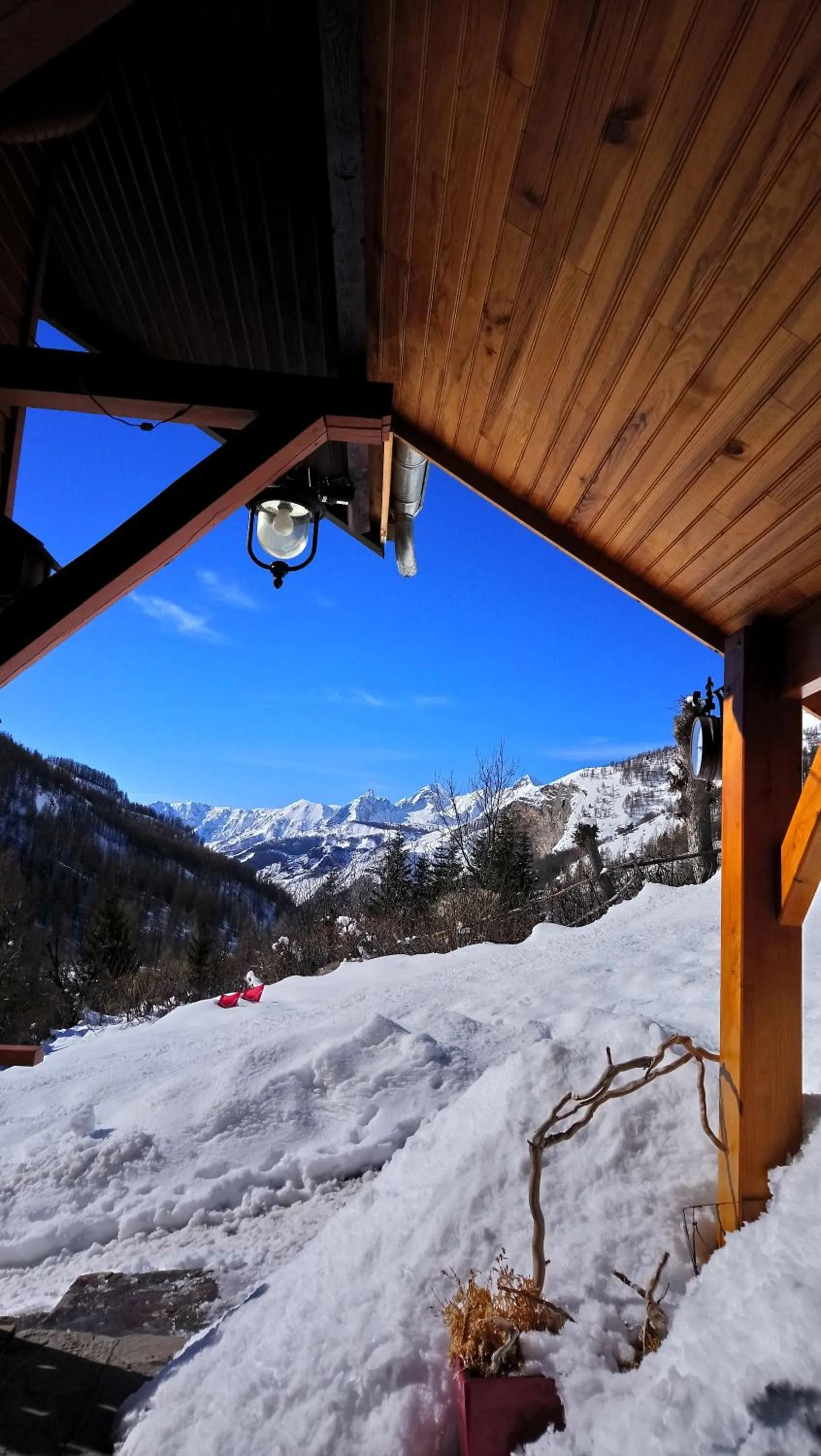 Les marmottes d Estenc