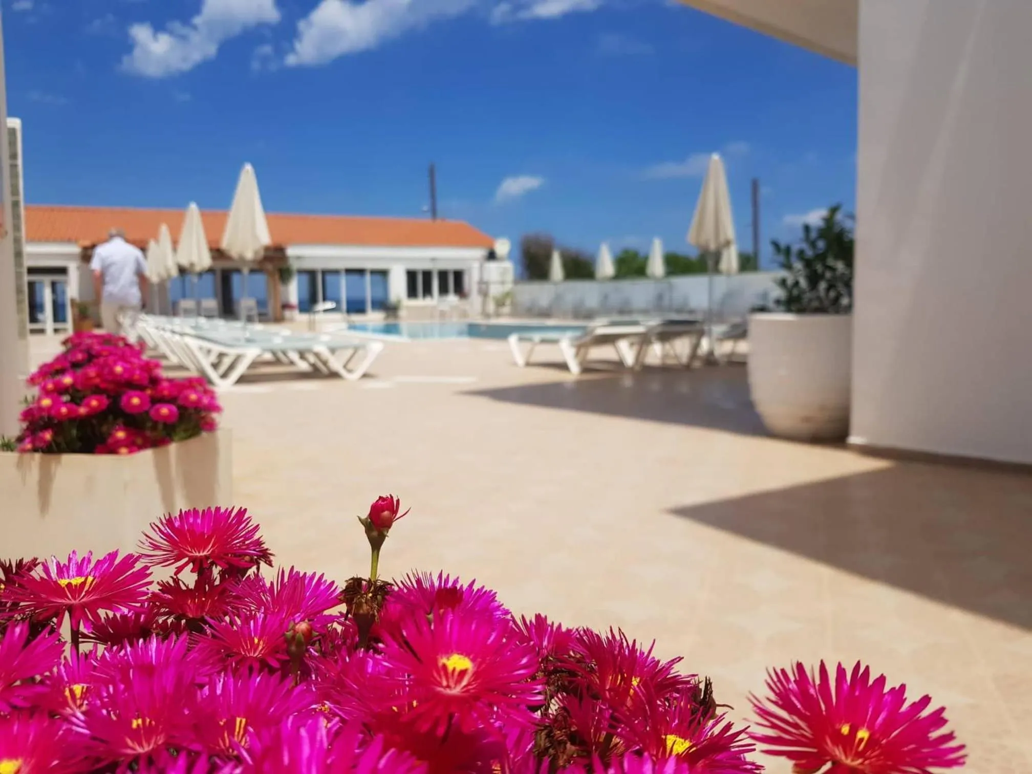 Kasapakis Hotel & Apartments