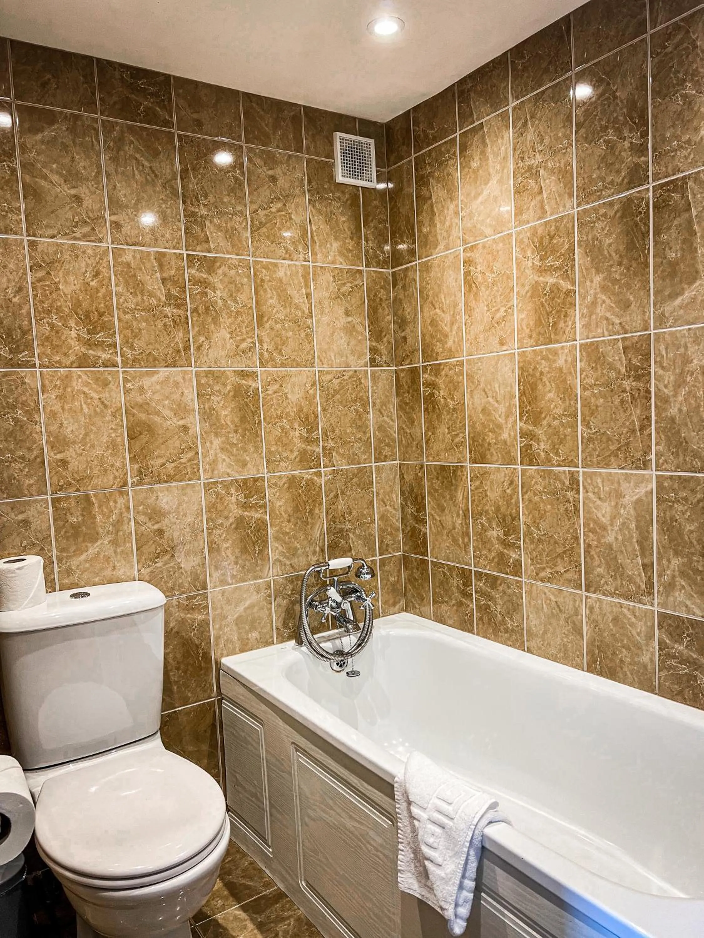 Toilet in Rising Sun Hotel