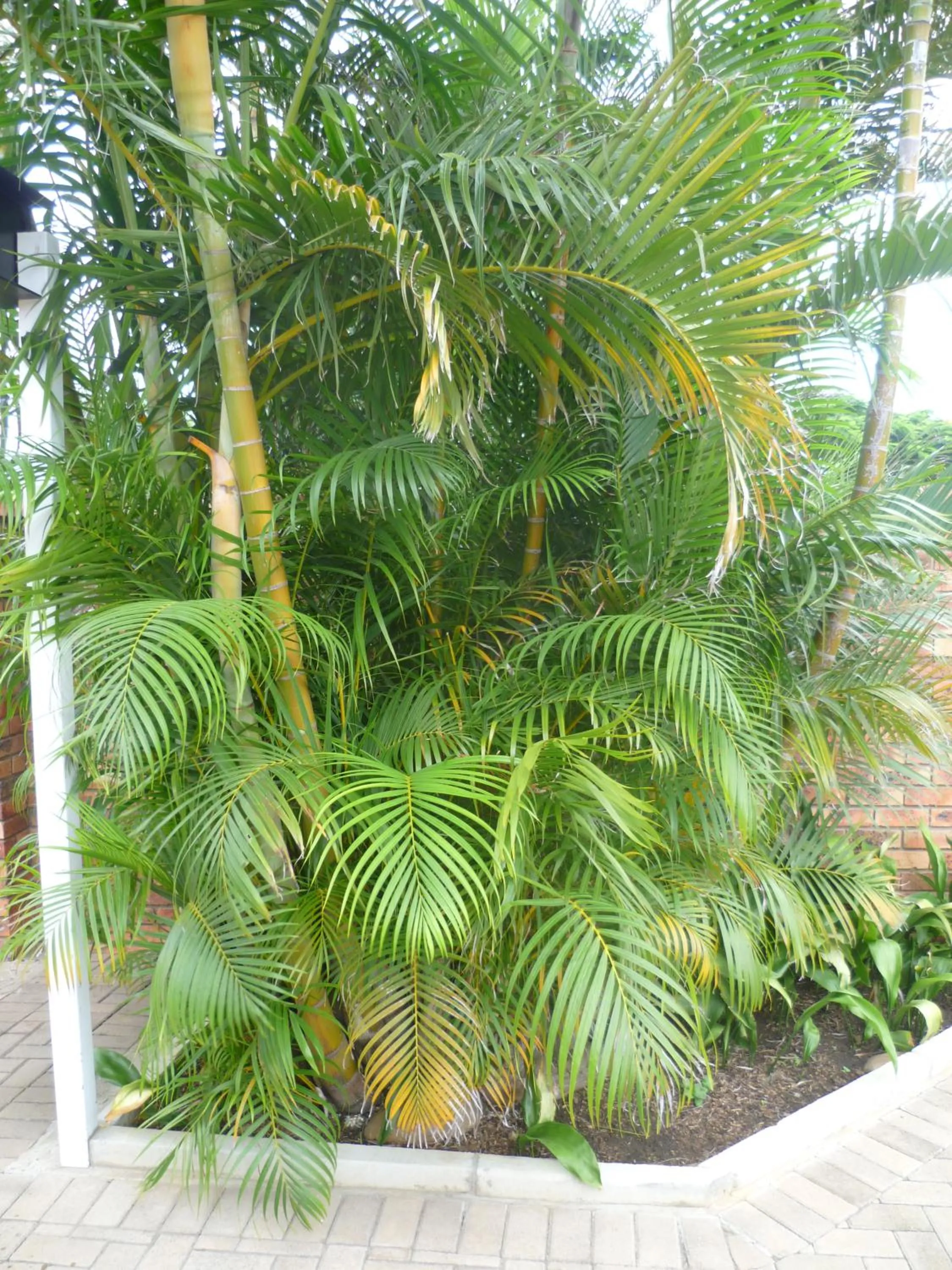 Absolute Cornwall Bed and Breakfast