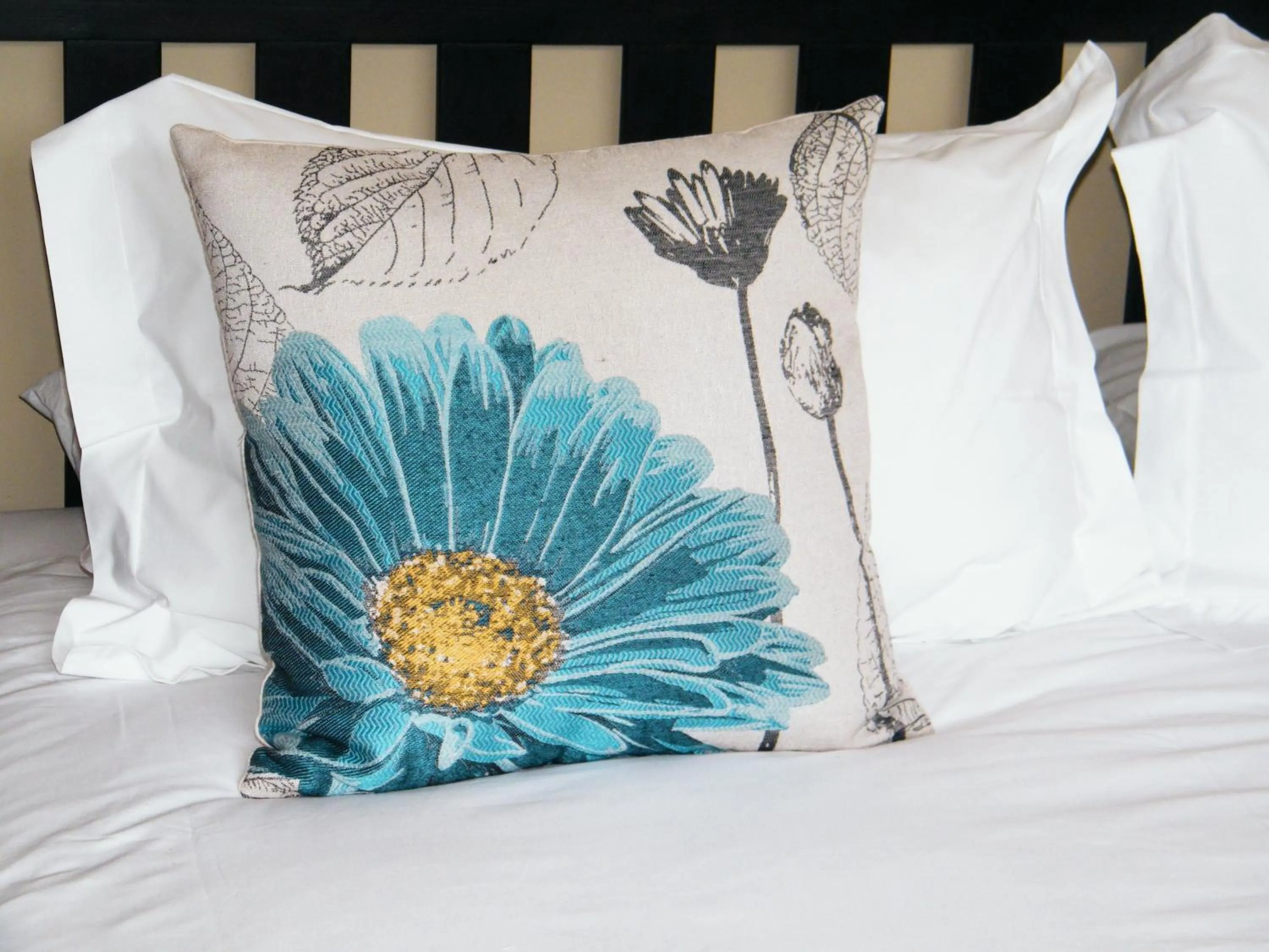 Bed in Absolute Cornwall Bed and Breakfast