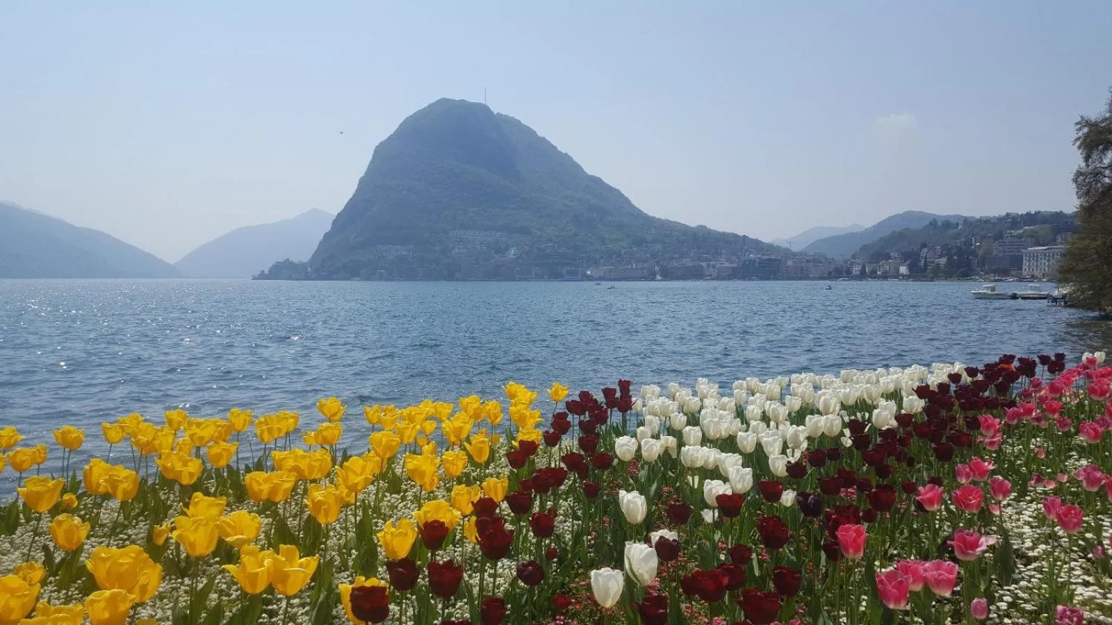 Natural landscape in Prestige Apartments by Quokka 360 - spacious flats with terraces