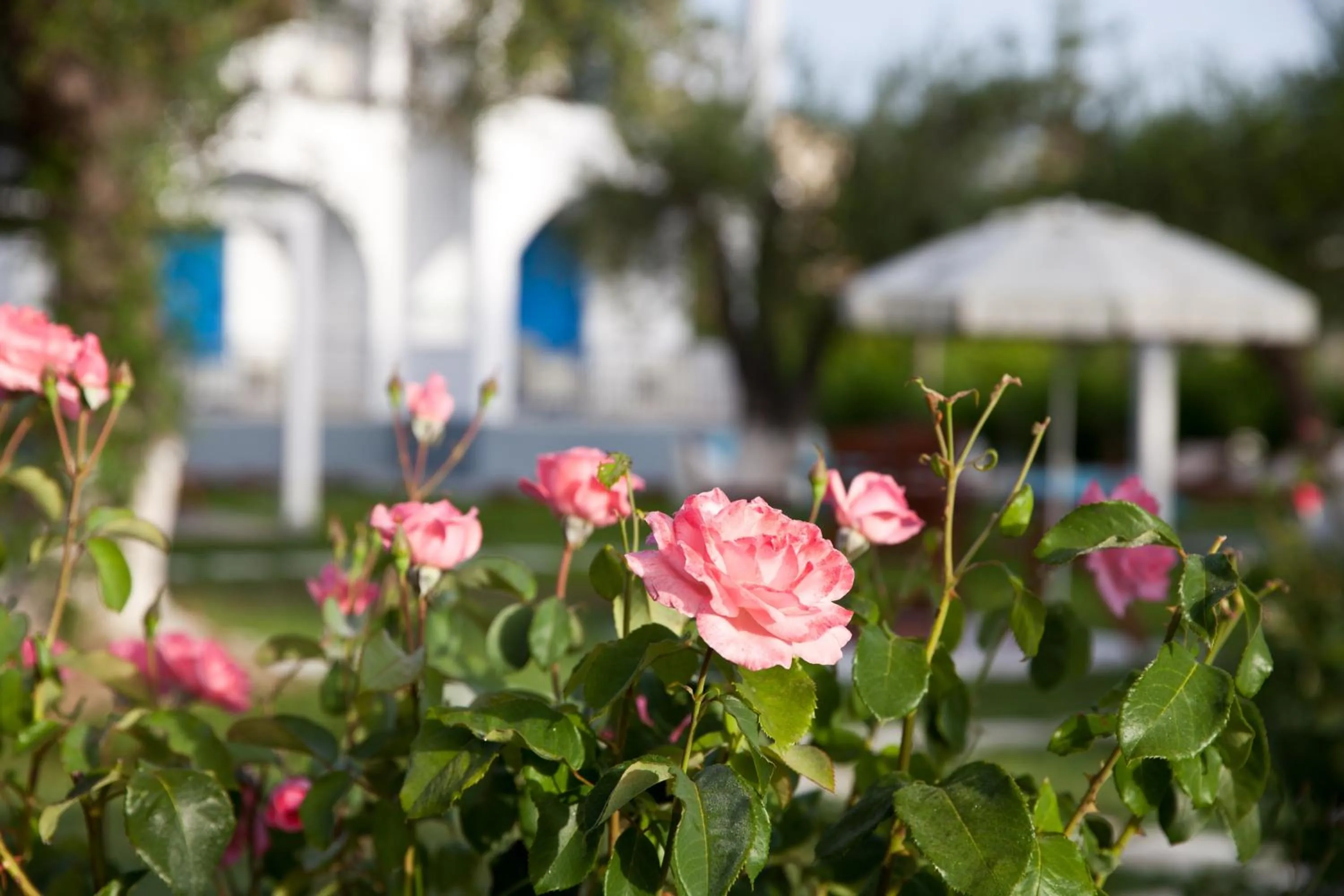 Garden in Sun 'n Chill, Boutique Apartments & Beach Villa