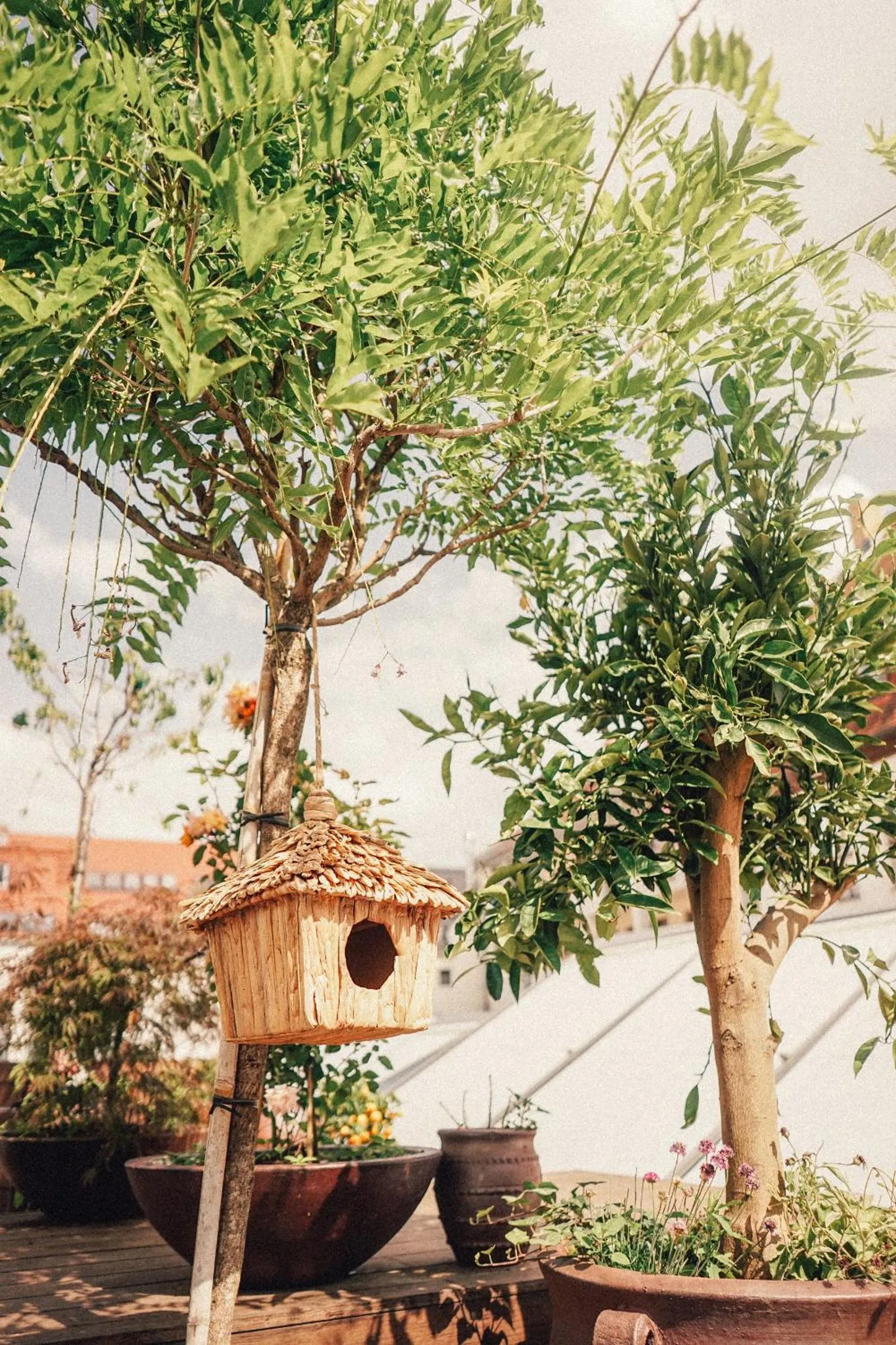 Day in 36 Phô Cô Hotel & Suites