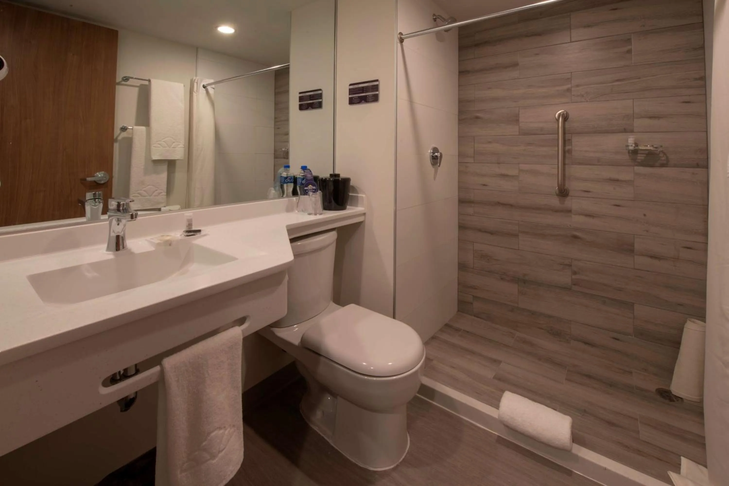 Toilet in Microtel Inn & Suites by Wyndham San Luis Potosi
