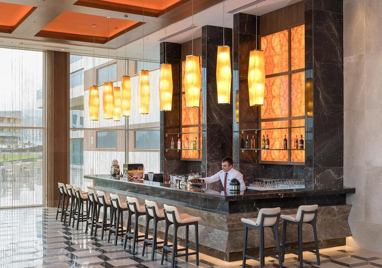 Lounge or bar in Ramada Plaza by Wyndham Rize