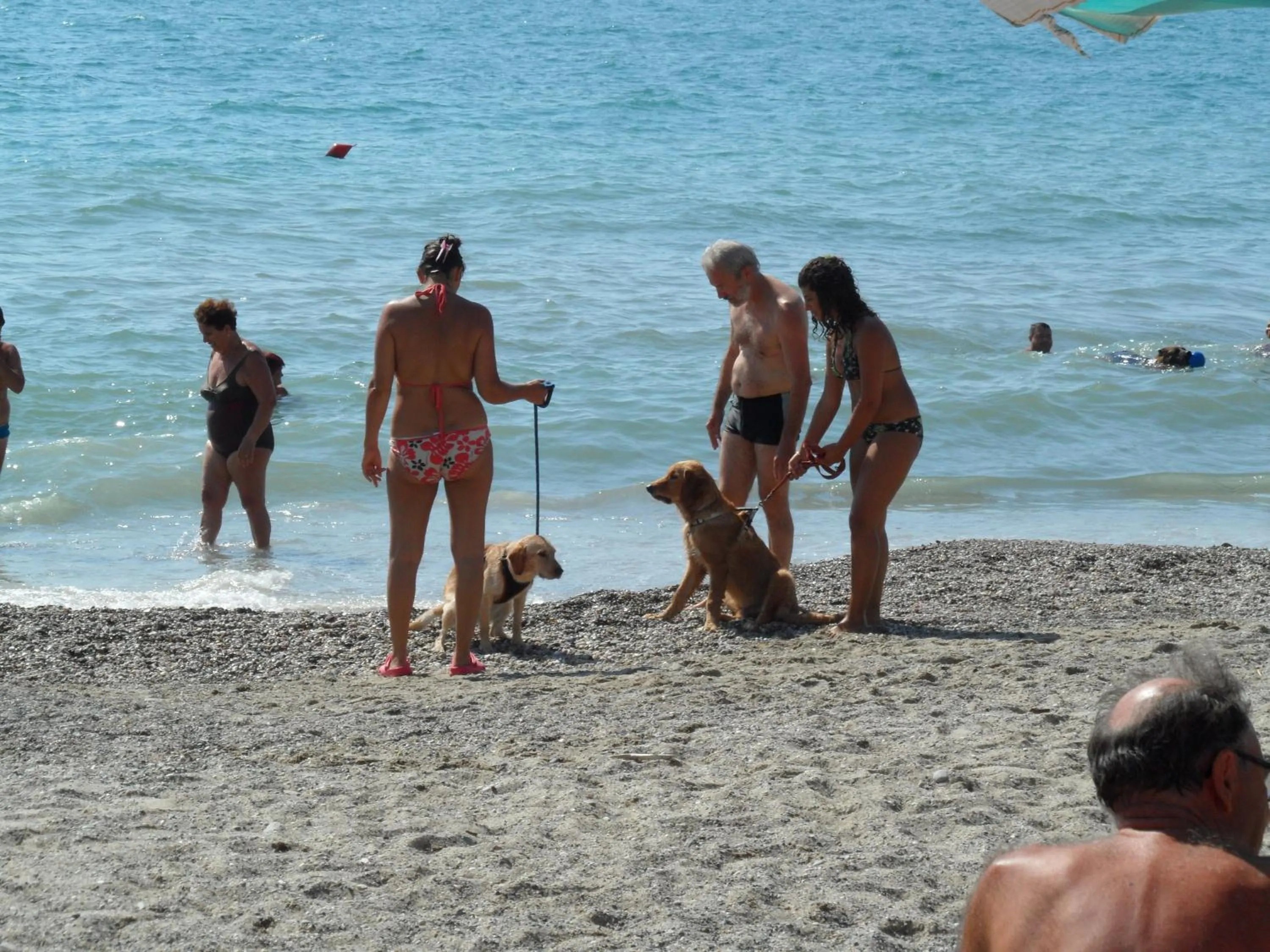 Pets in Residence Villa Alda