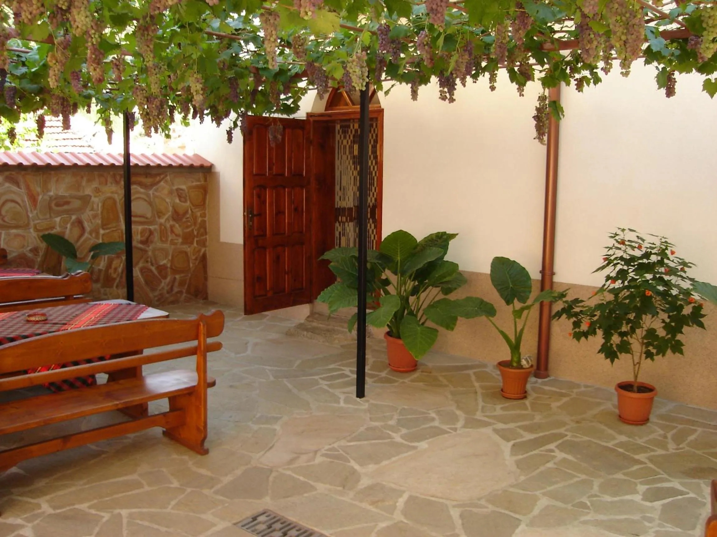 Garden in Centaur Family Hotel