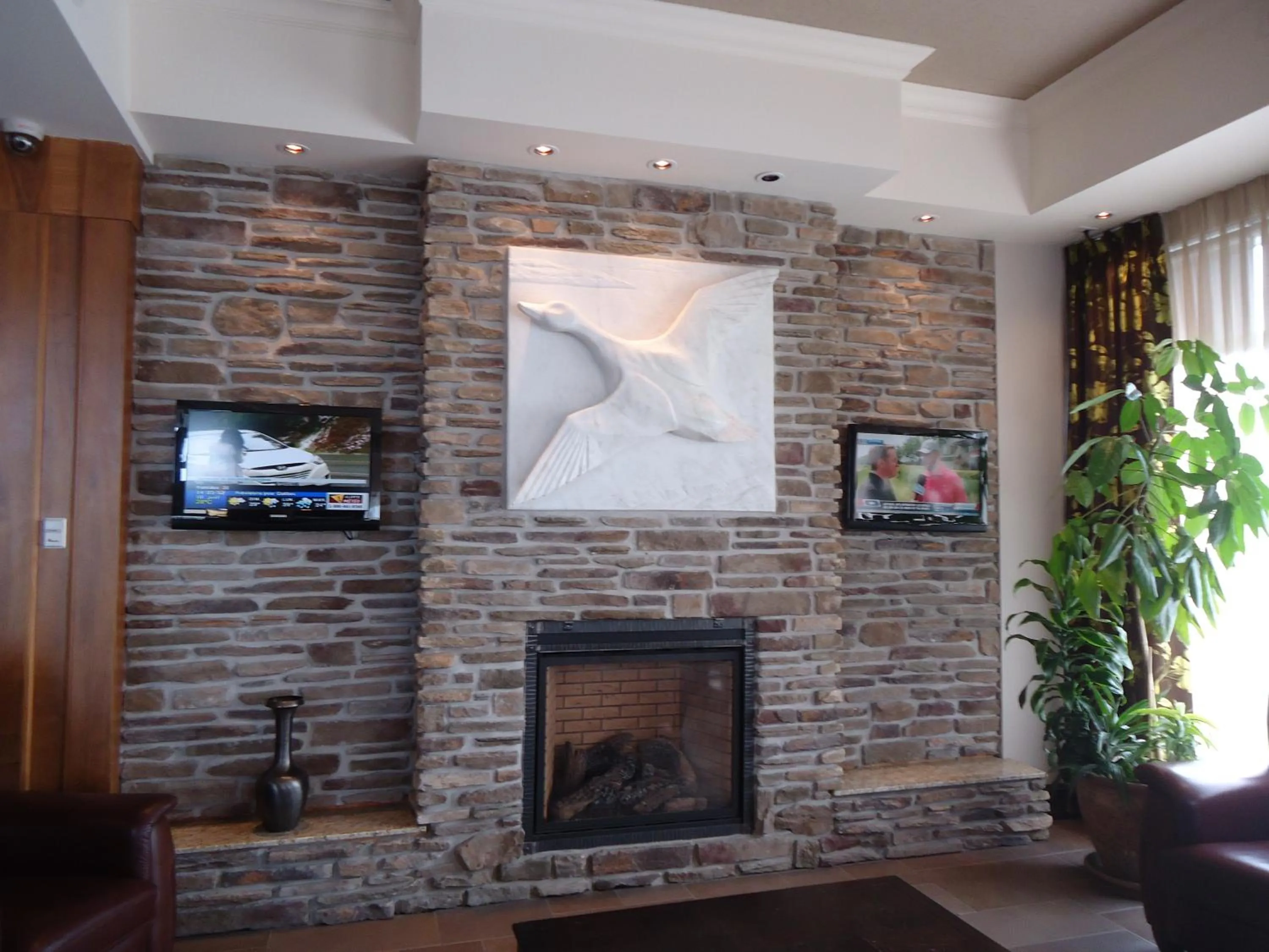 TV and multimedia in Hotel L'Oie des neiges