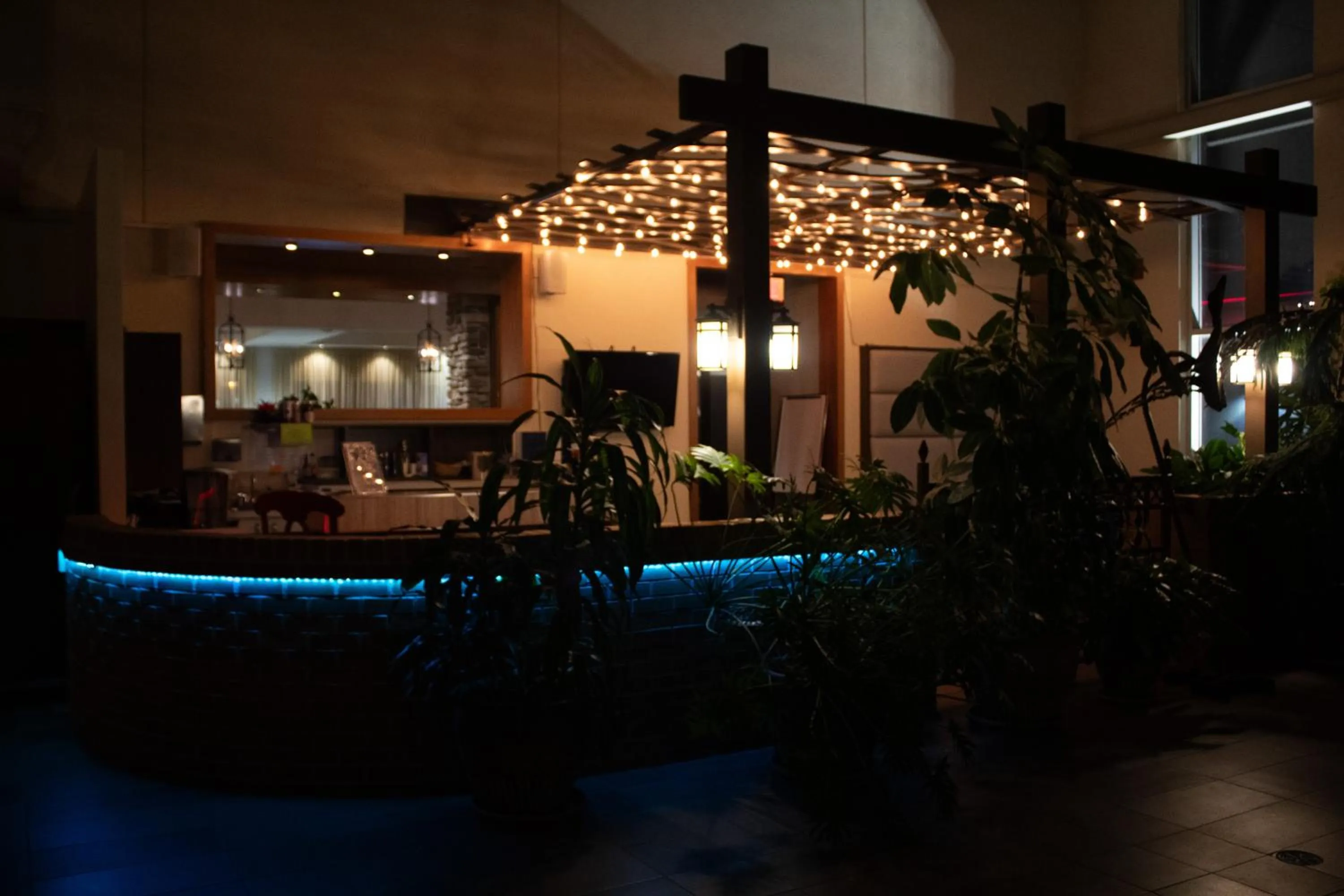 oven in Hotel L'Oie des neiges