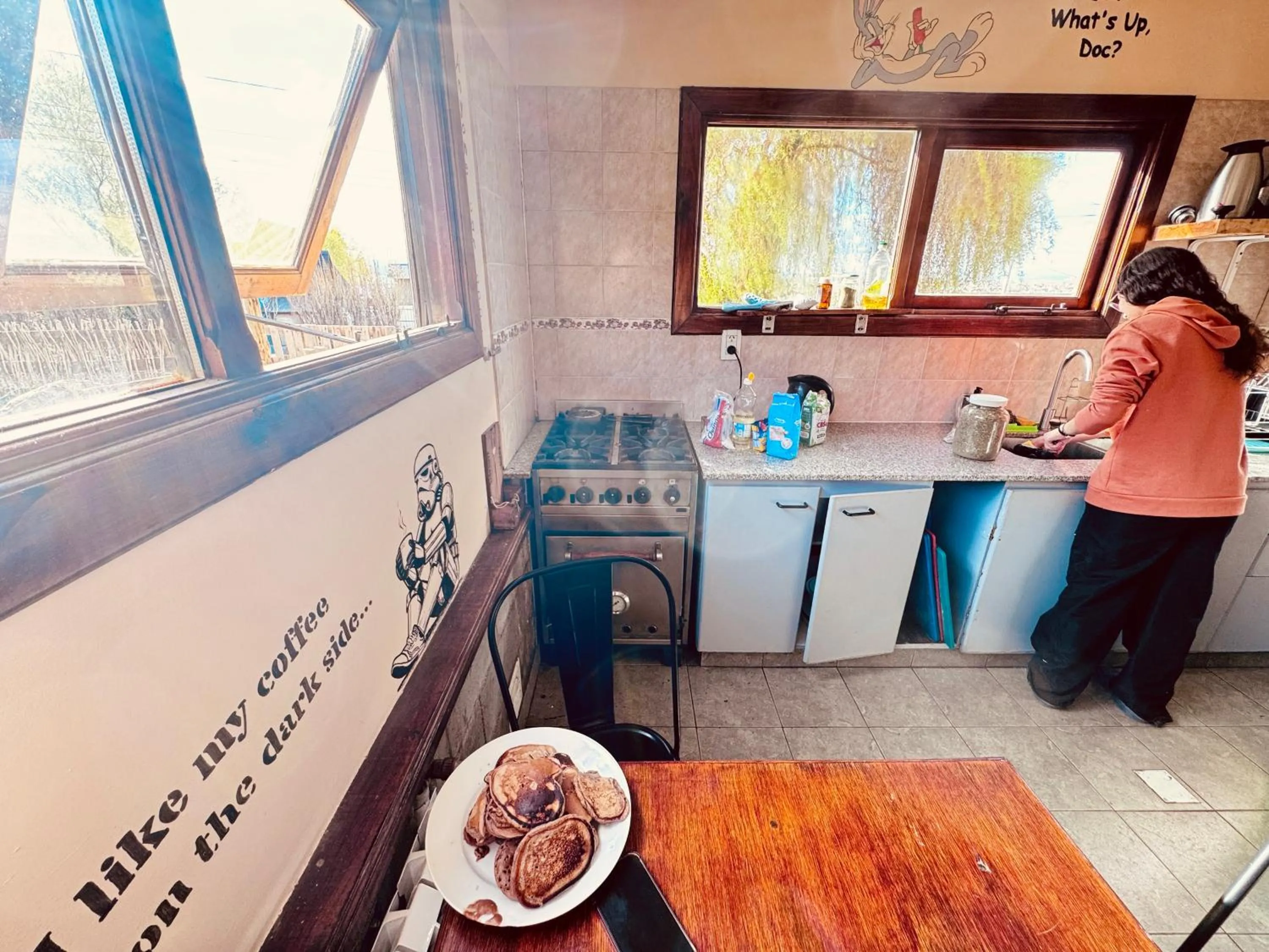 Kitchen or kitchenette in Cabañas y Hostel I Keu Ken